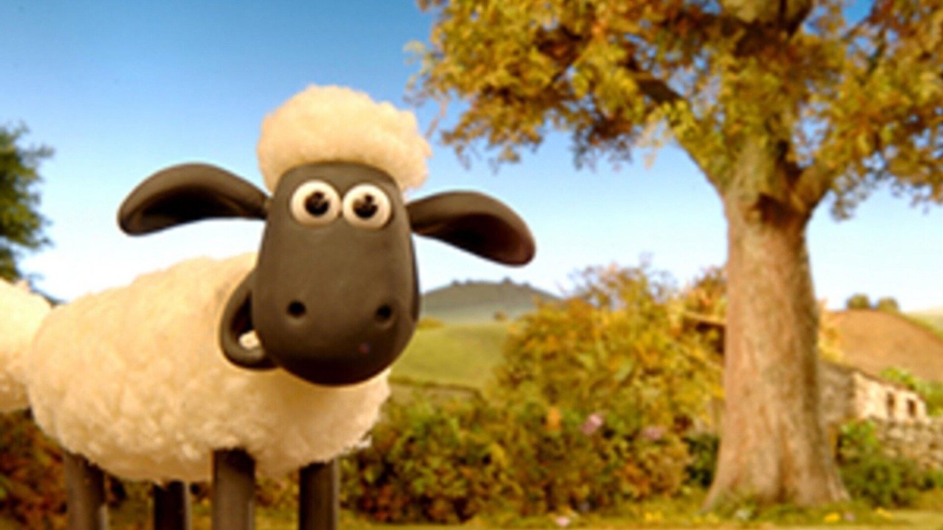Shaun, o Carneiro : O Grandioso Timmy