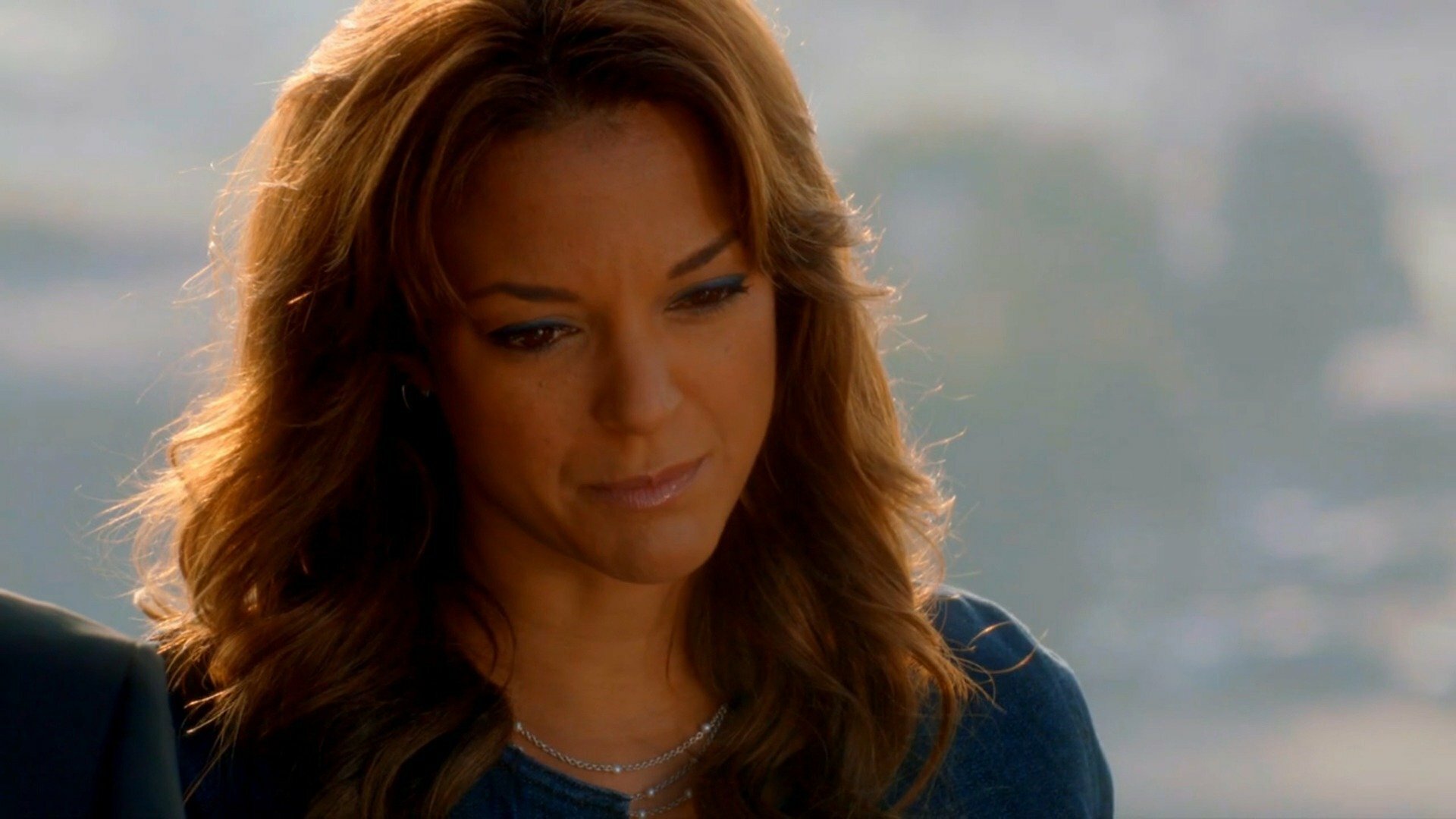 CSI: Miami : Friendly Fire