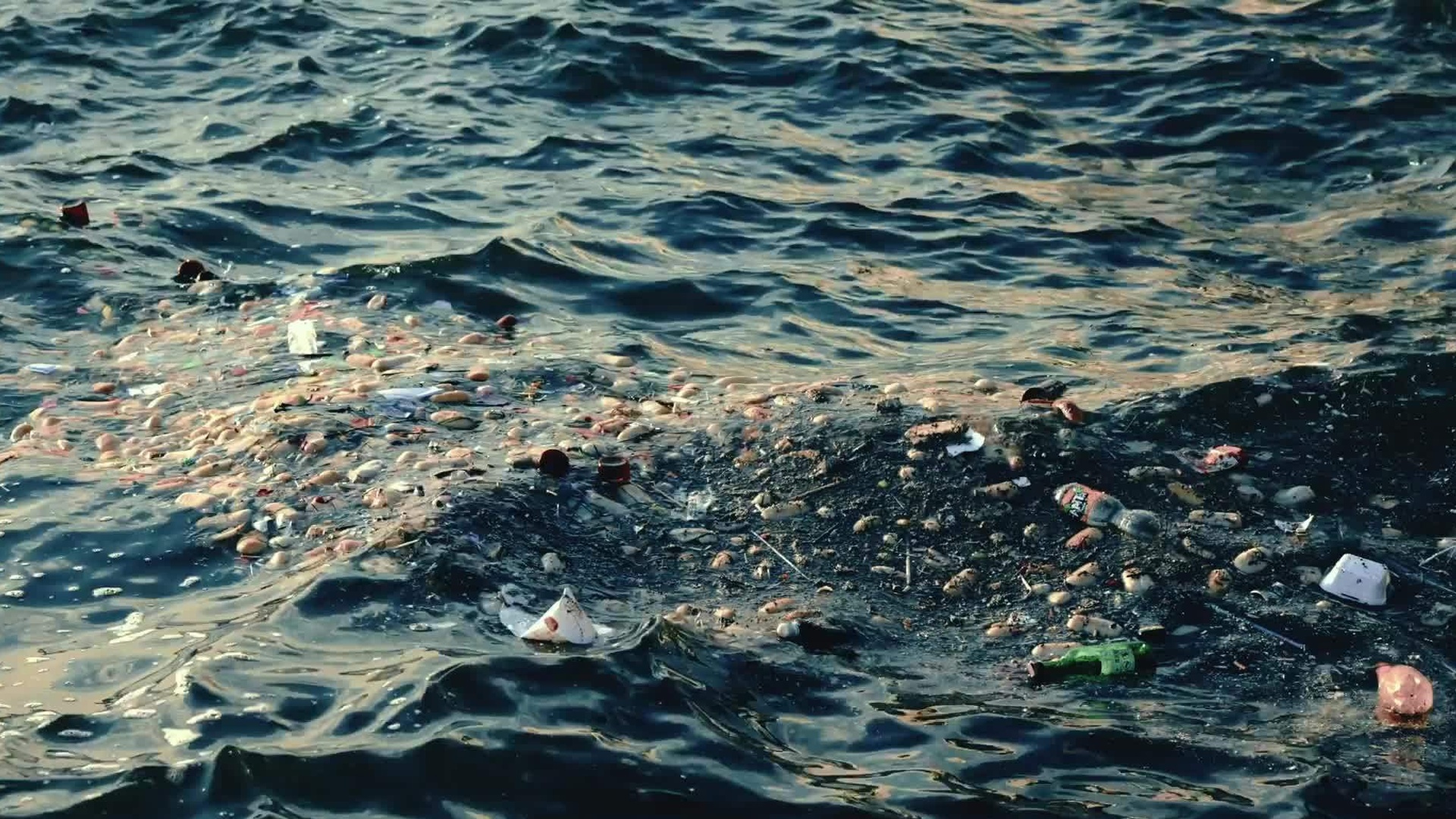 Ciência para Todos : Oceano Ameaçado