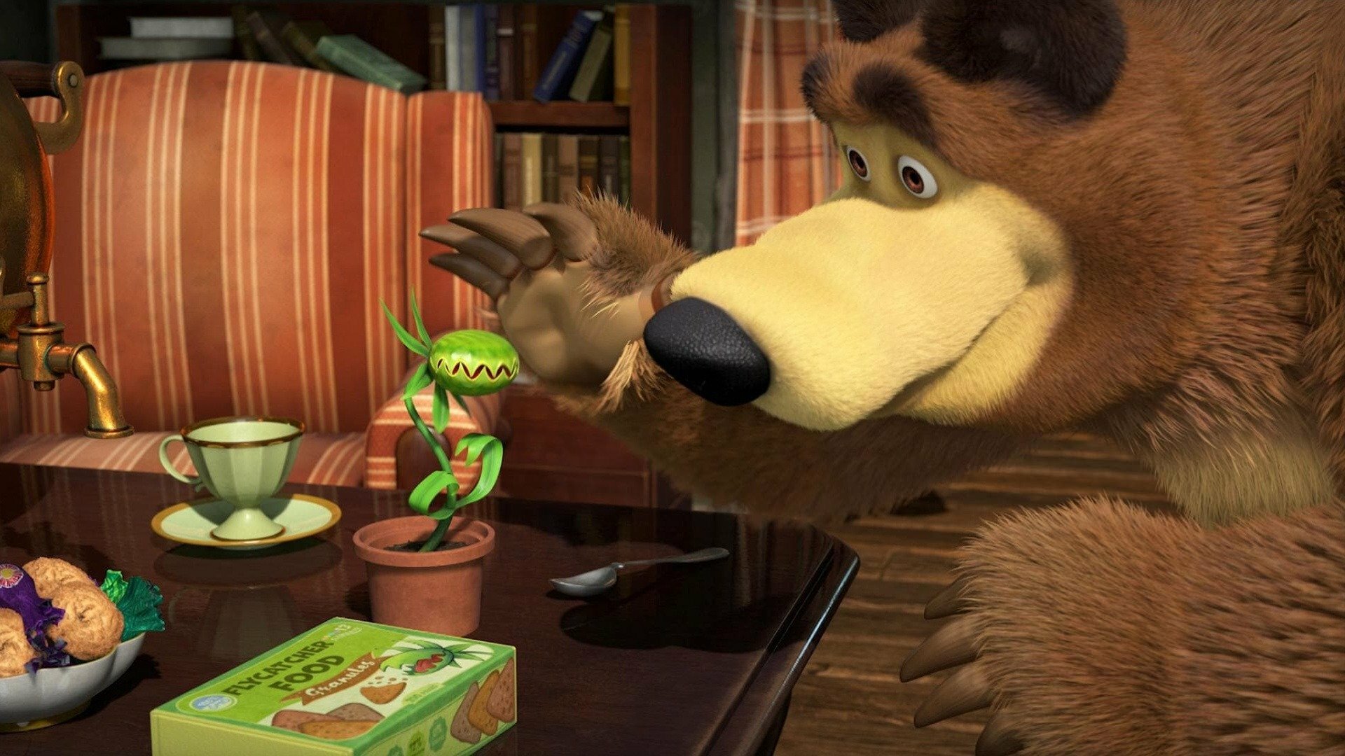 Masha e o Urso : Como Educar Sua Planta
