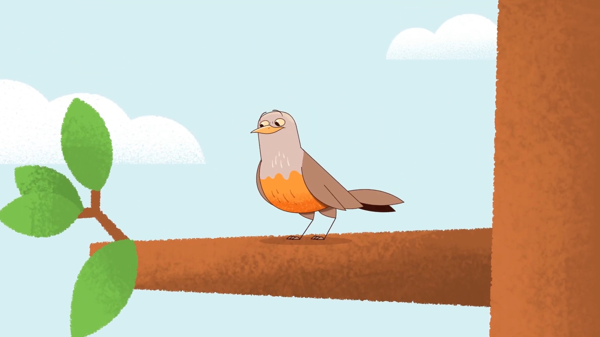 Esse É o Bicho! : Sapo-Cururu