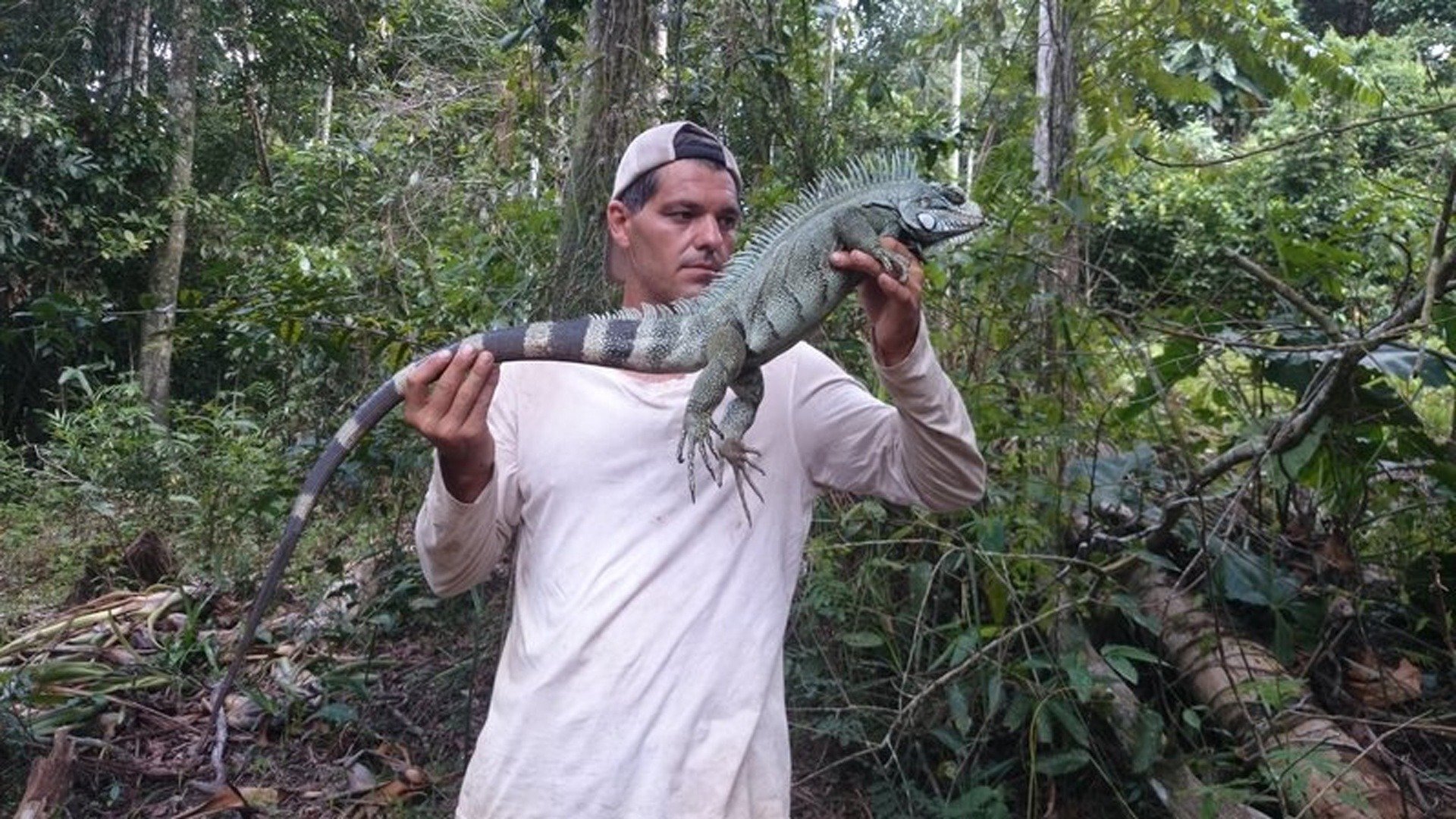 Perdido na Ásia : Picada de Cobra