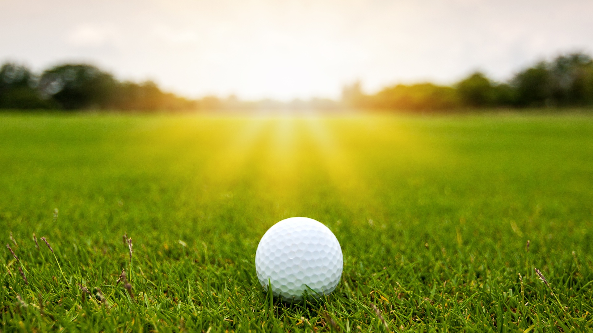 U.S. Open Golf Championship 2026 - Primeira Rodada : Primeira Rodada
