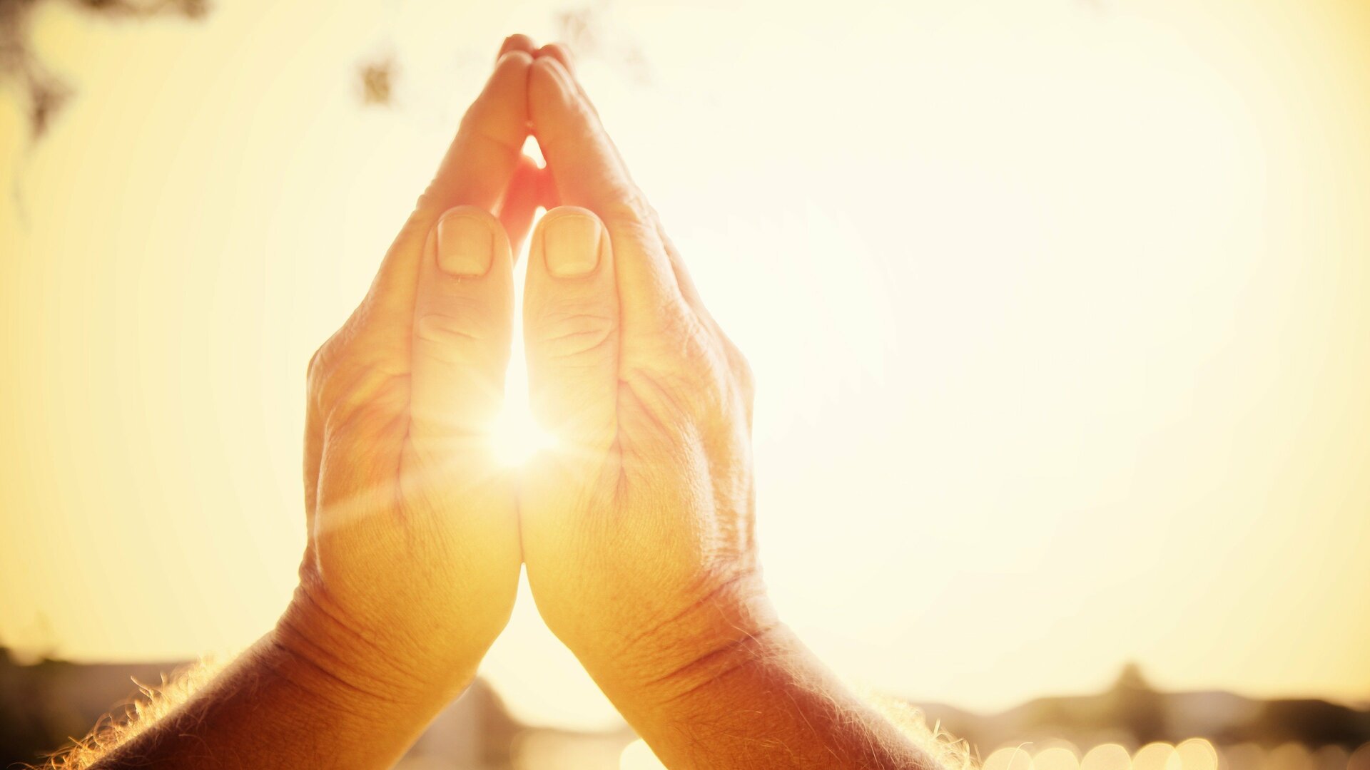 Bom Dia Evangelizar