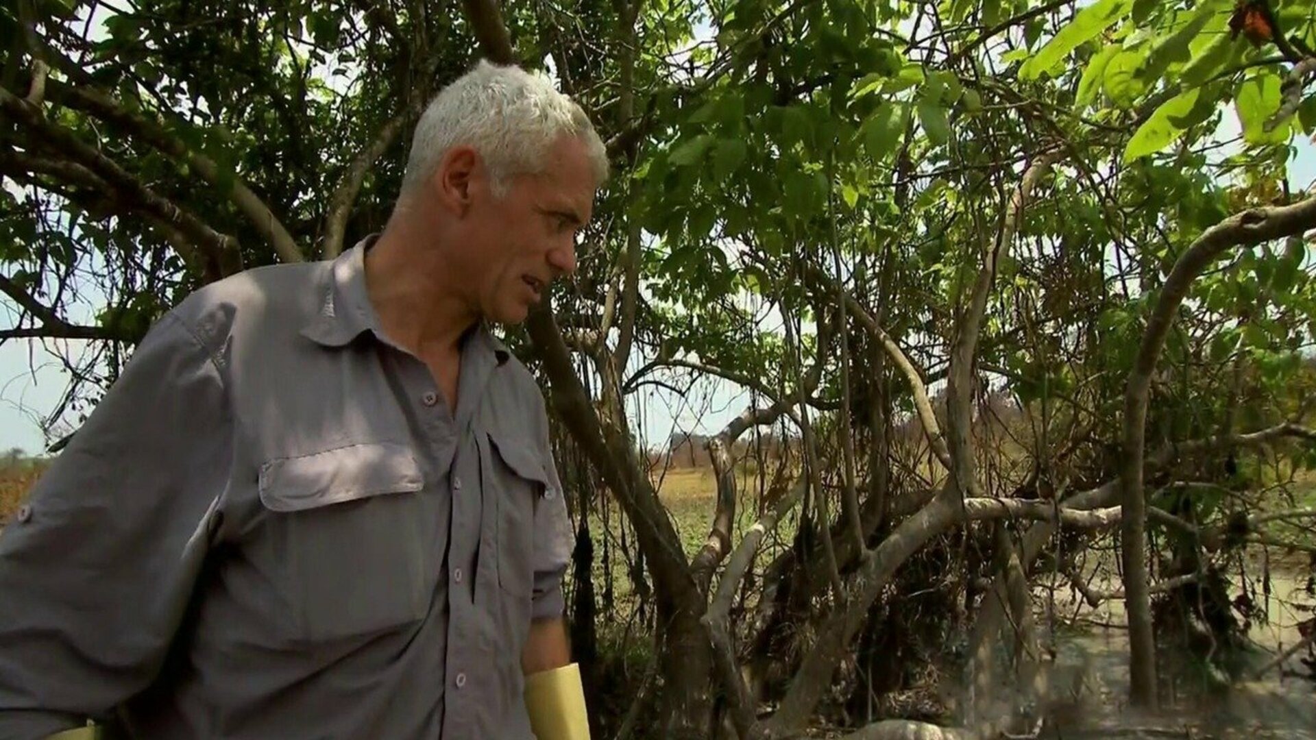 River Monsters : Peixe-Elétrico