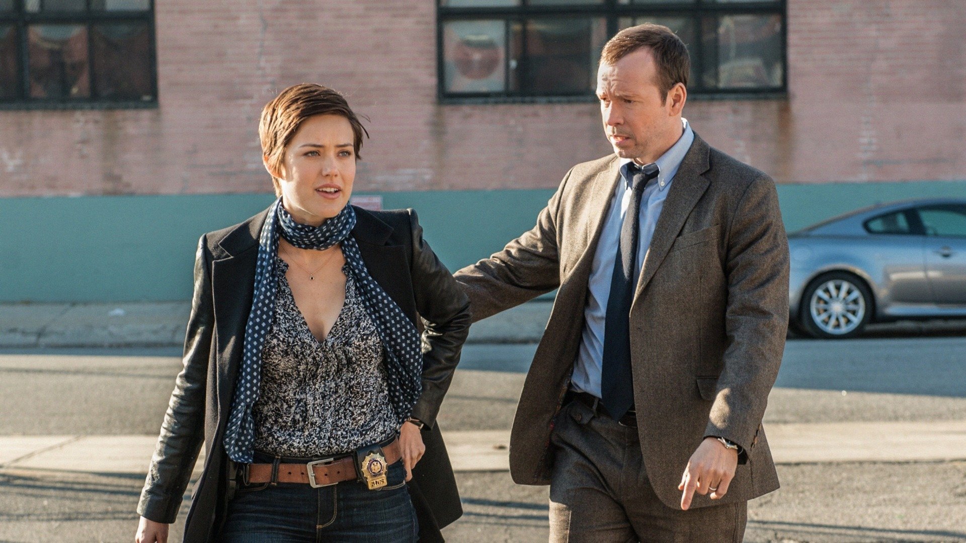 Blue Bloods : Trabalhos Internos