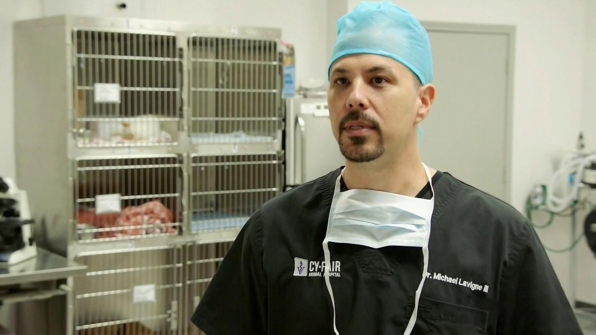 Veterinários do Texas : Luz, Câmera, Ação!