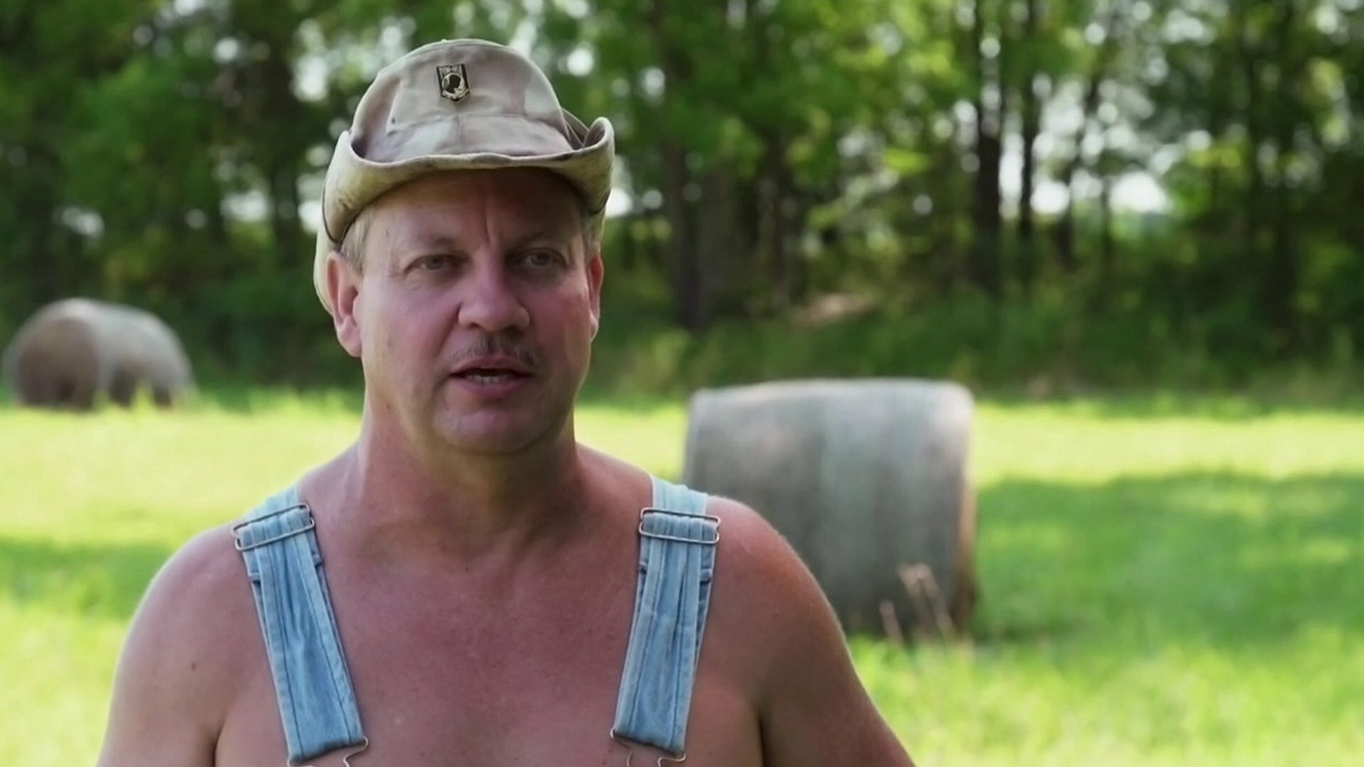 Destiladores : Picada de Cobra