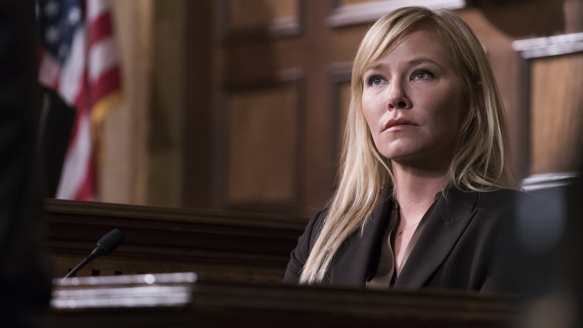 Law & Order: Special Victims Unit : Agente Provocador