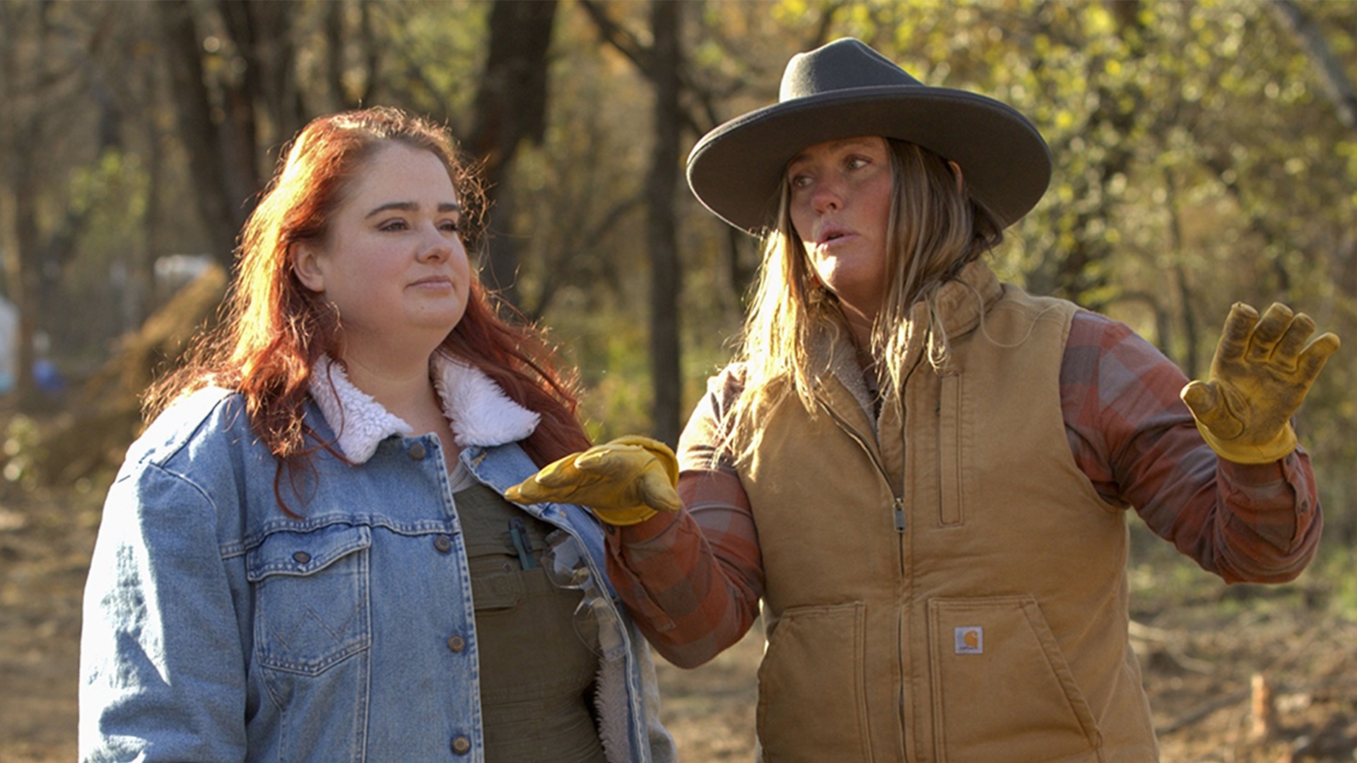 Vida Remota : Pomos da Discórdia