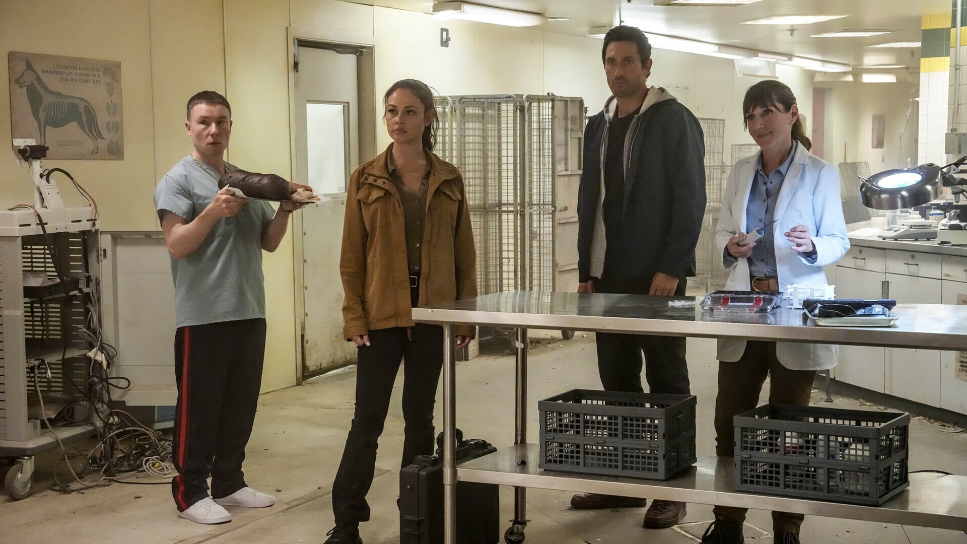 NCIS: Hawai'i : Divided We Conquer