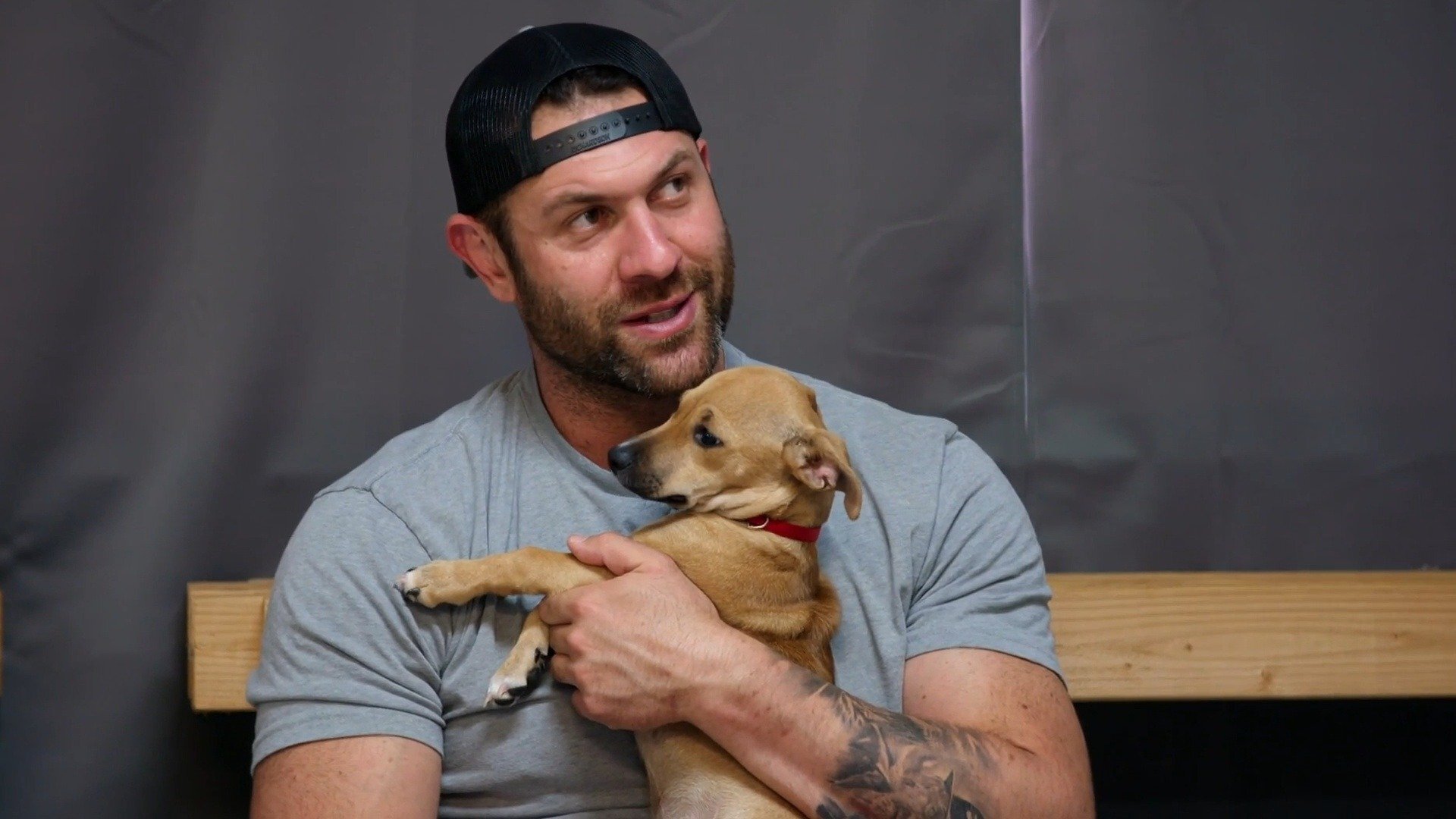 Minha Vida Animal : Ela Vai Ter um Bebê