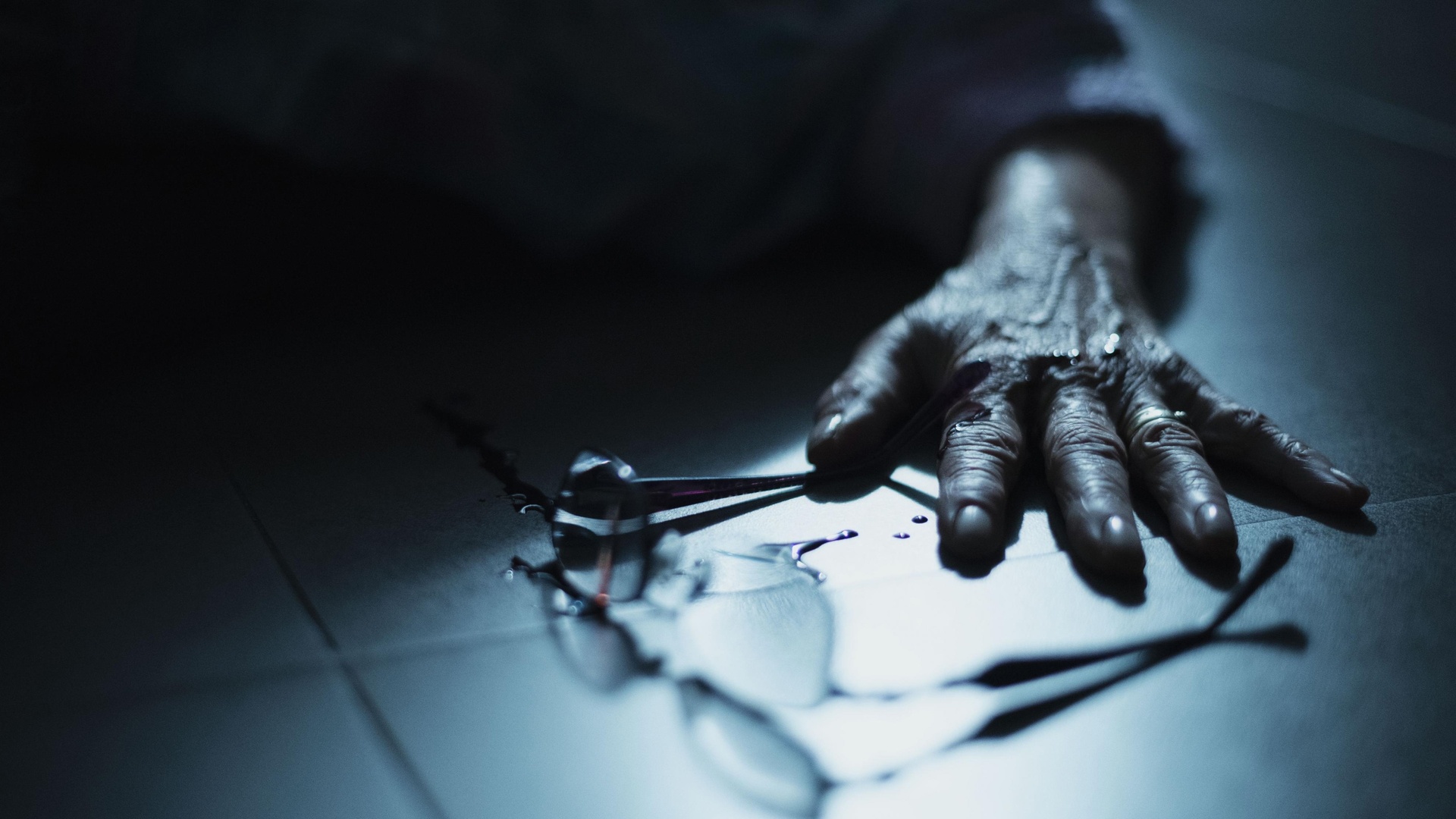 Lobo em Pele de Cordeiro : A Testemunha