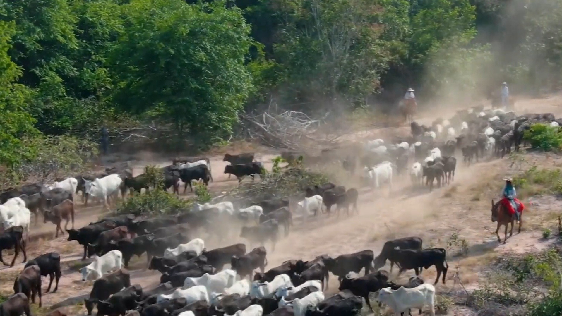 Mulheres e Homens da Terra