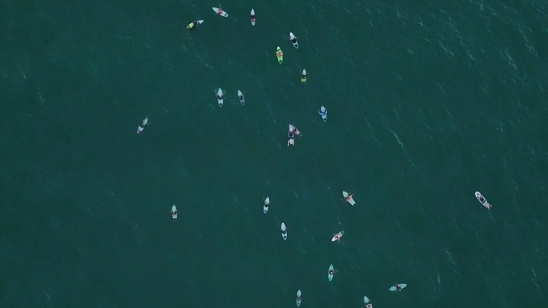 Crowd Selvagem : Trestles