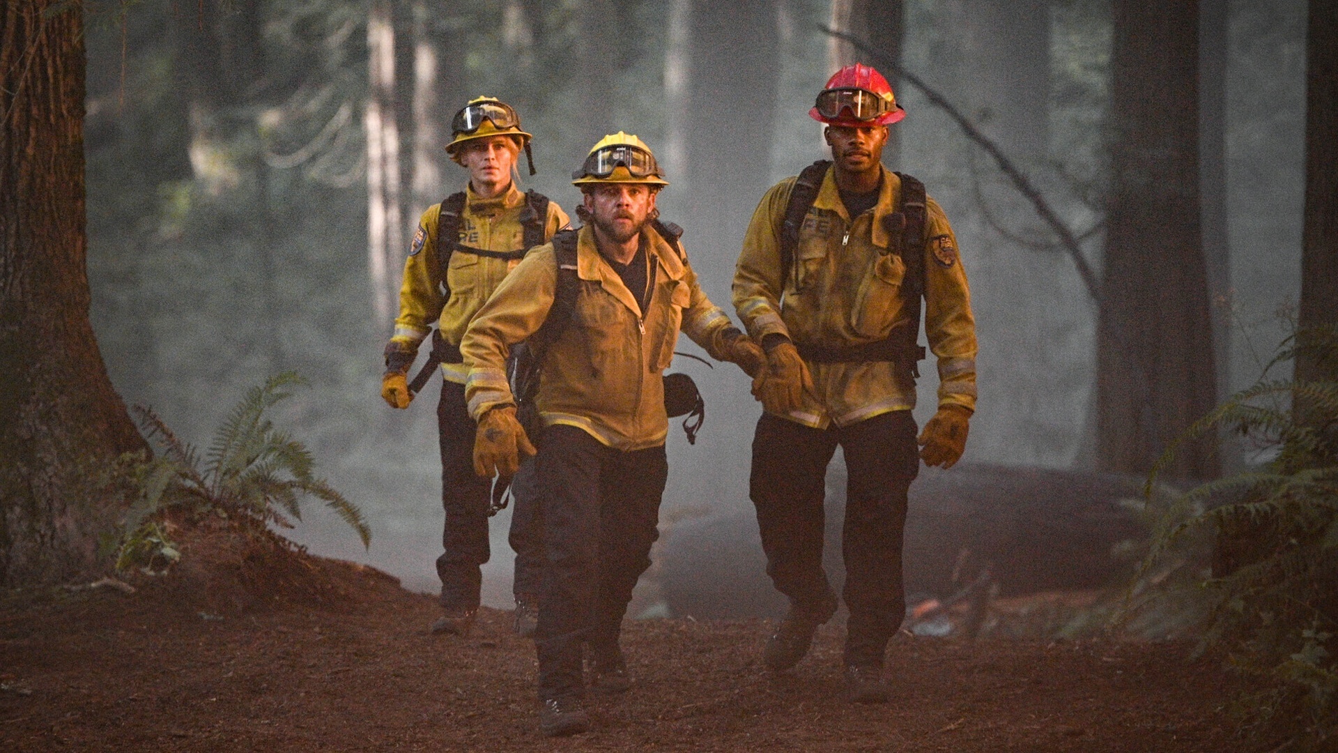 Fire Country : Not a Stray