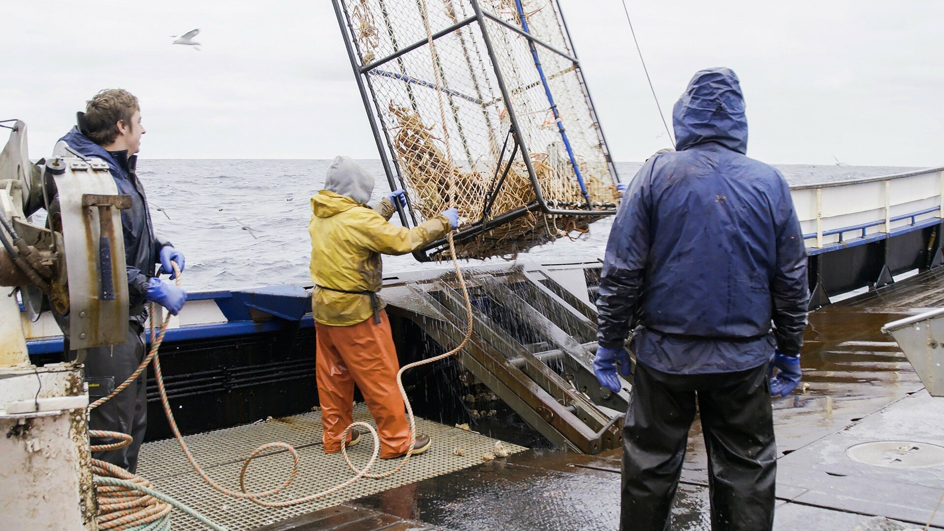 Pesca Mortal : Força Maior