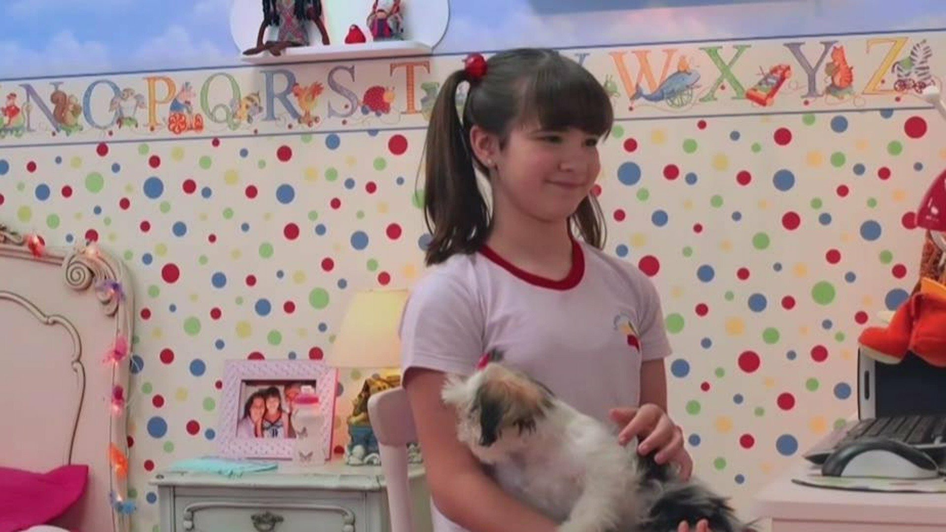 Universo Z : Cachorrinho da Zi