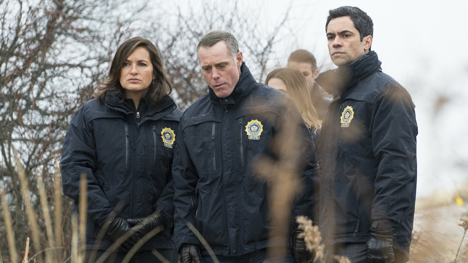 Law & Order: Special Victims Unit : Concedendo Imunidade