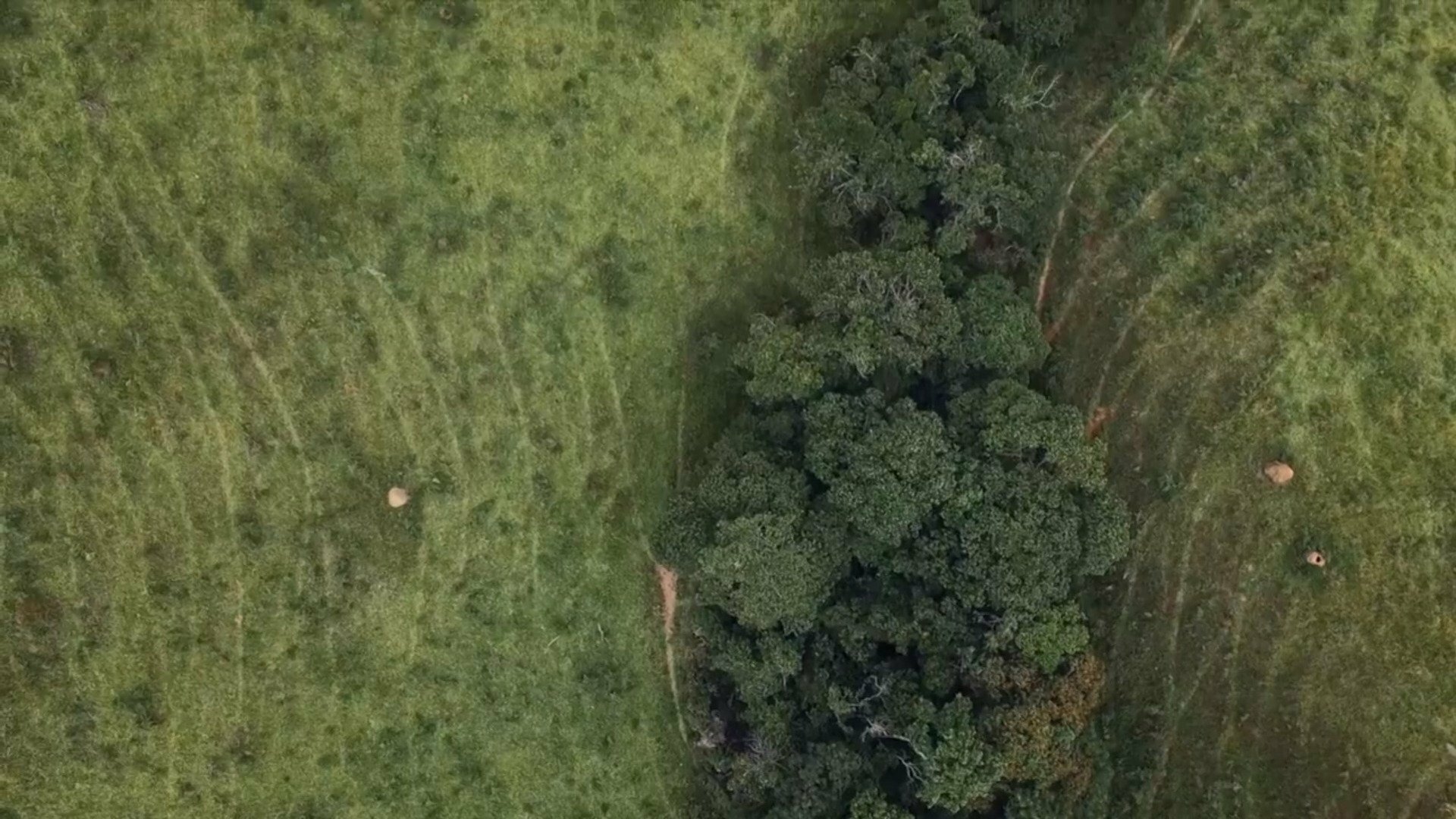 Da Nascente à Foz : Rio Doce