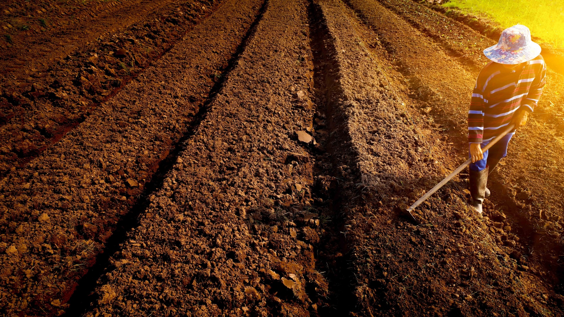 A Força do Agro