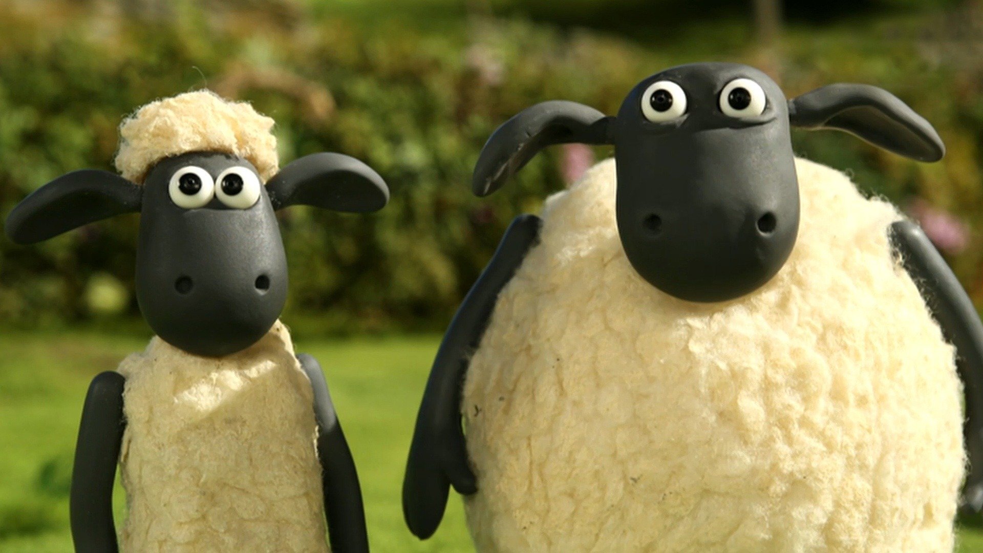 Shaun, o Carneiro : Mantenha-se em Forma com Shaun