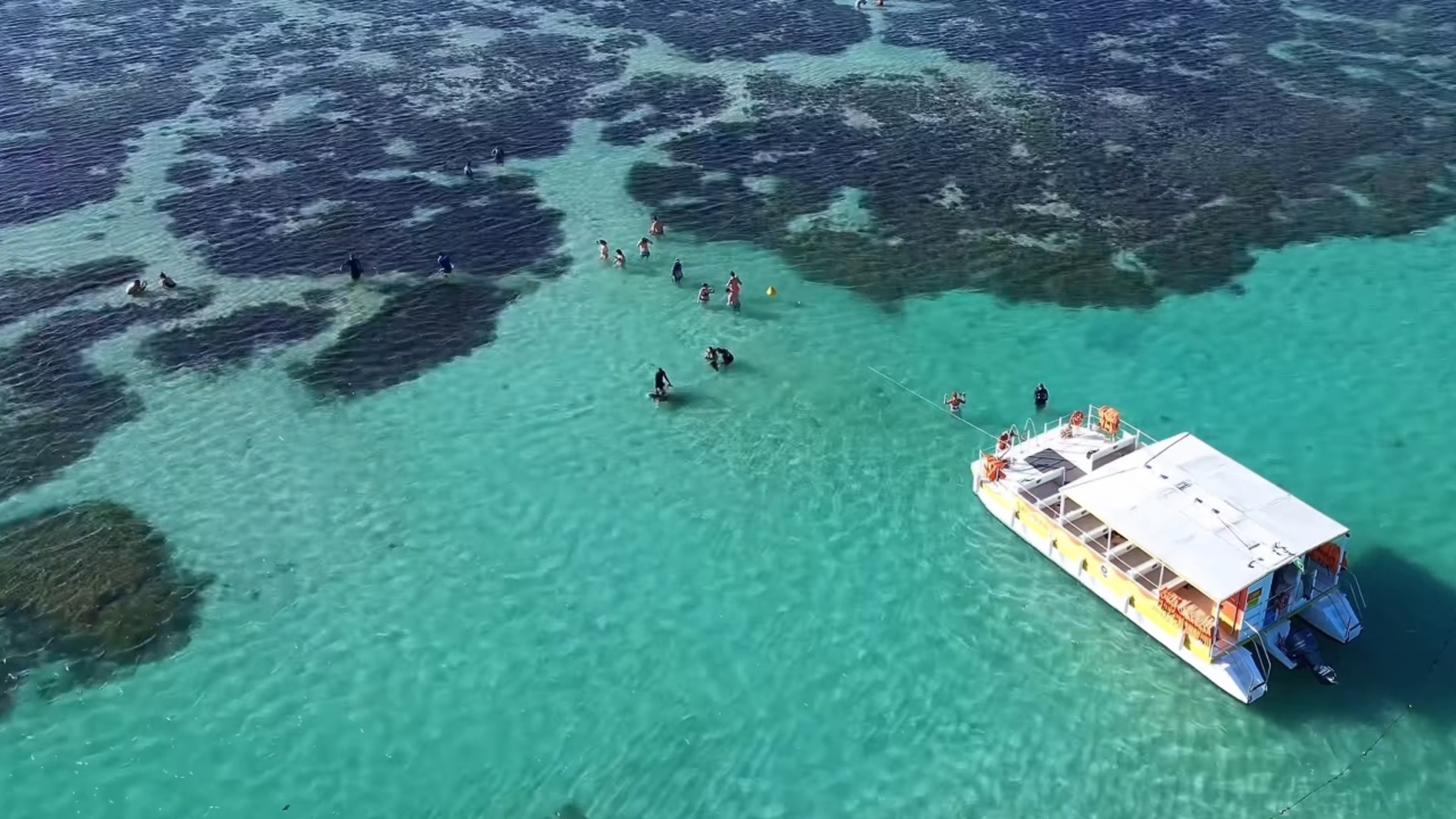 Viajando pelo Brasil : Piscinas Naturais de Maragogi