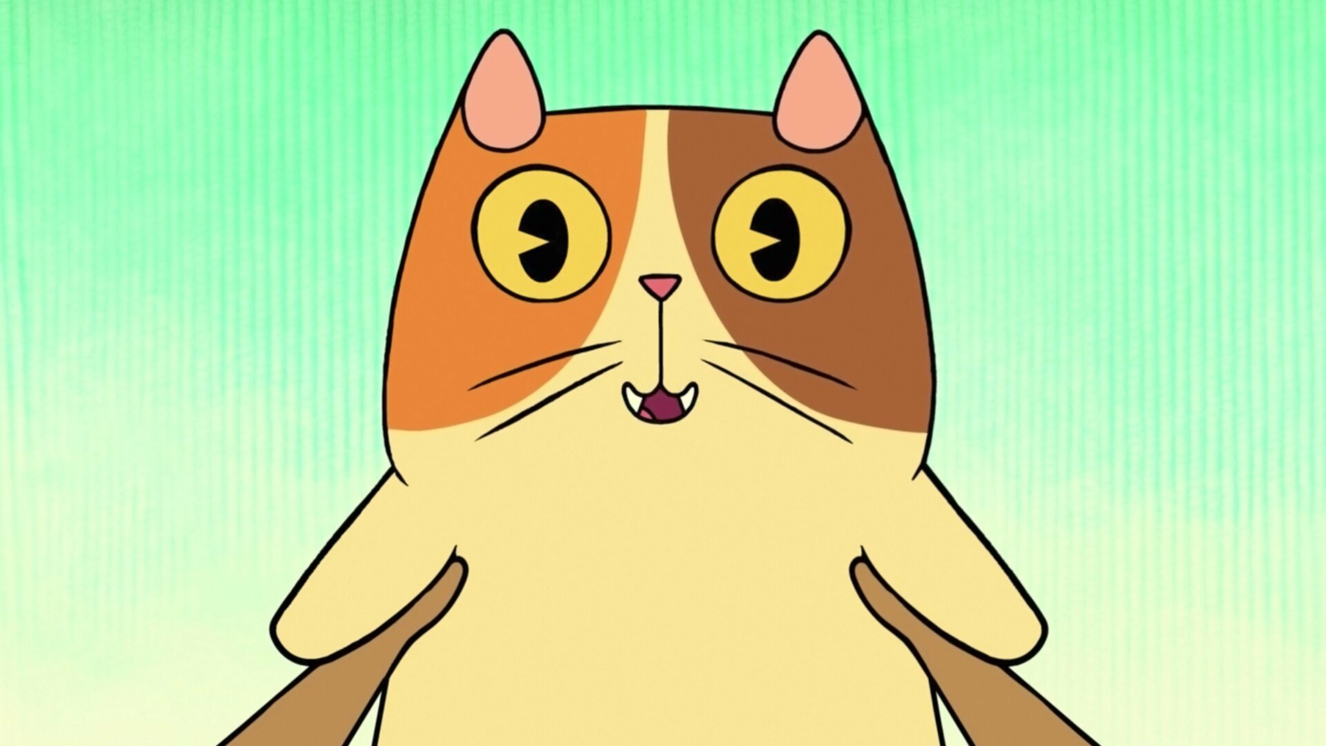 Nossa Casa - As Aventuras de Tip e Oh : O Planeta dos Gatos; Só Selfies