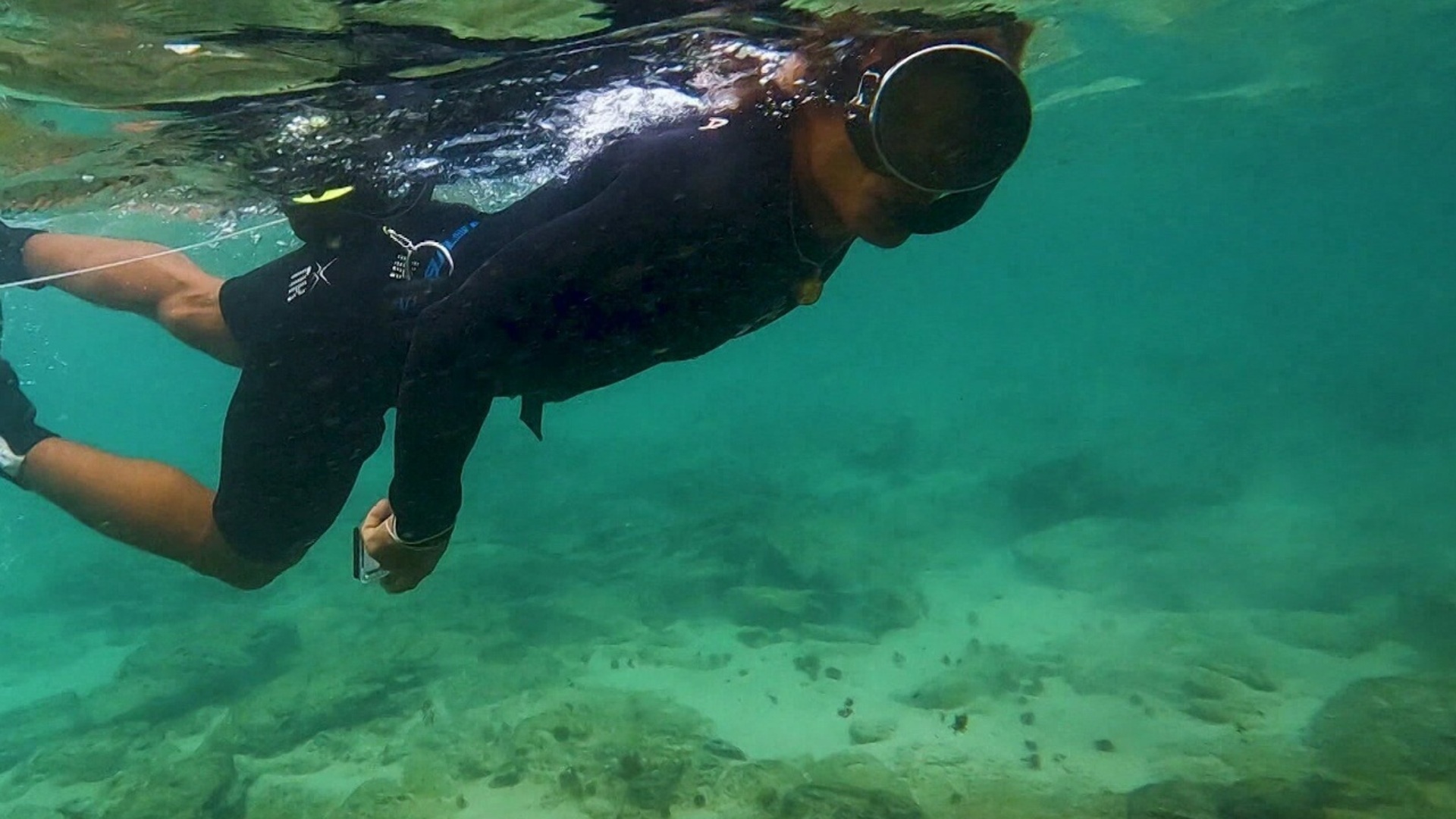 De Volta ao Paraíso : Fernando de Noronha, Pernambuco