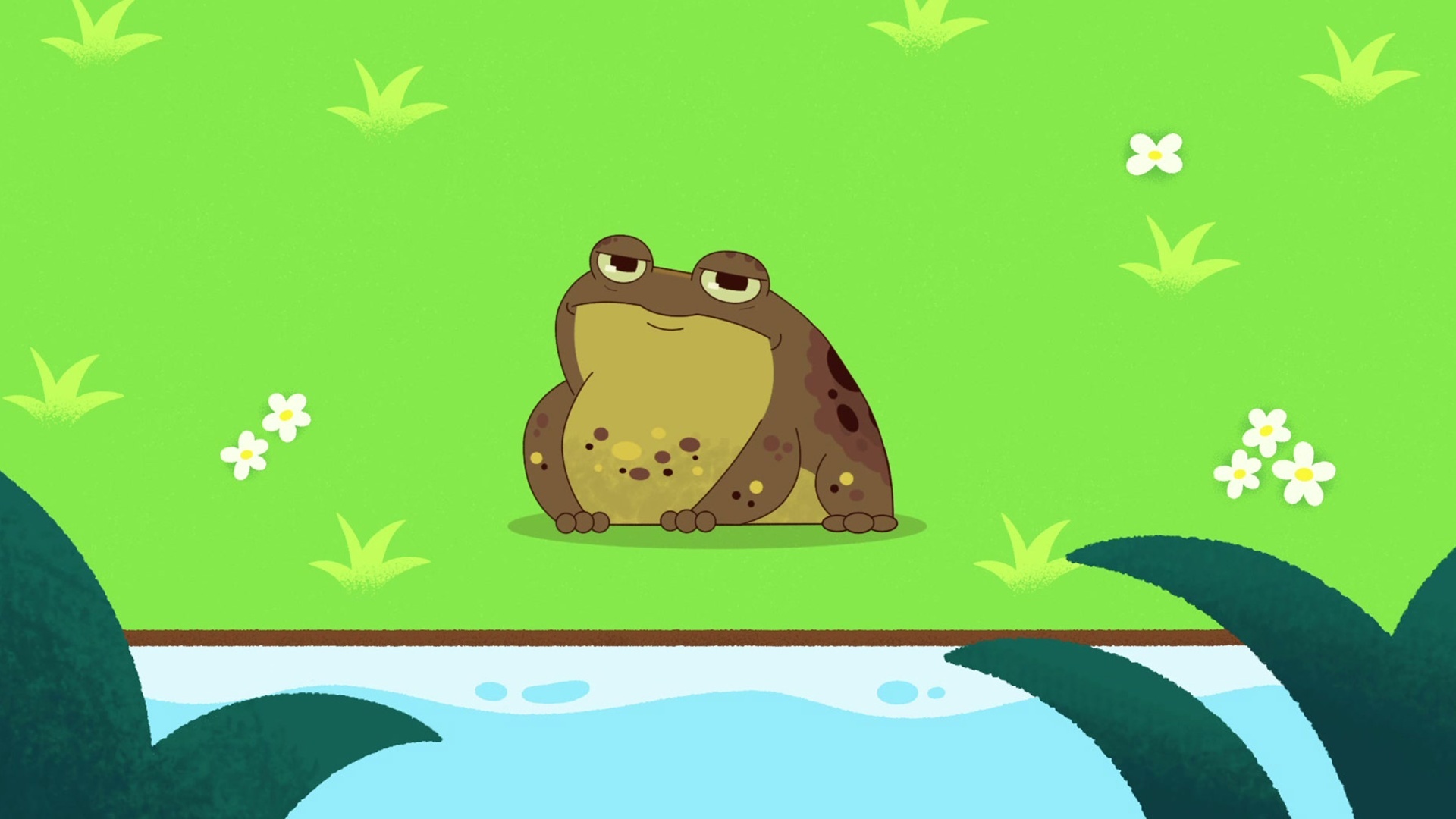 Esse É o Bicho! : Sapo Cururu