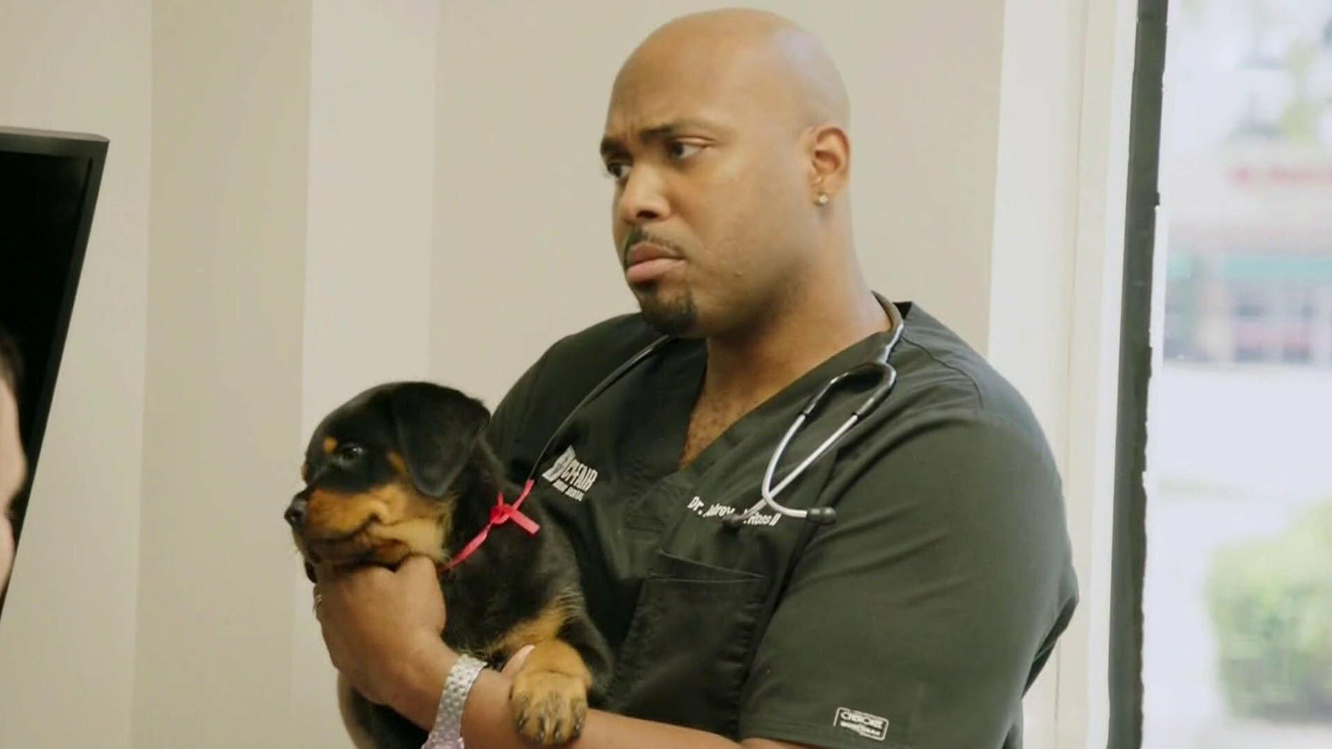 Veterinários do Texas : Dia de Treinamento