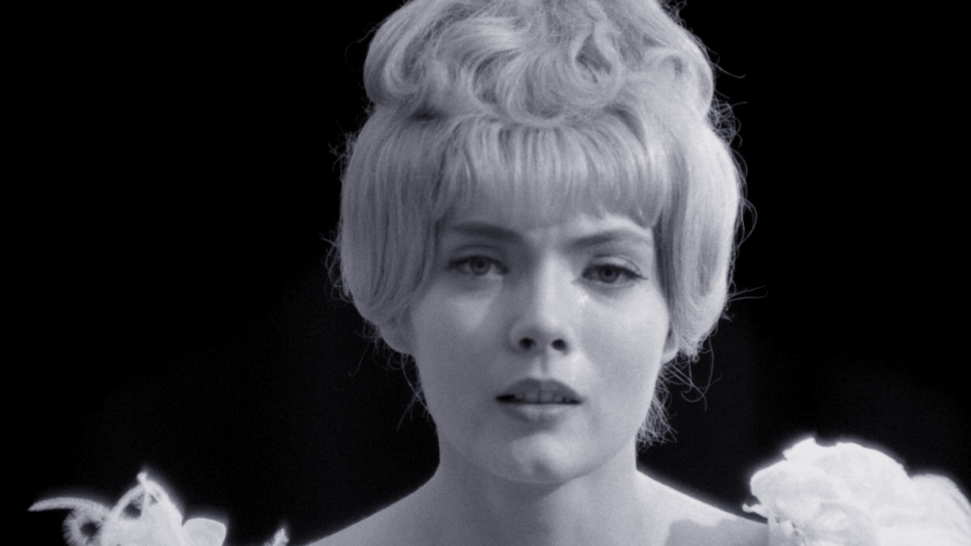 Viagem Através do Cinema Francês : Meus Cineastas de Cabeceira