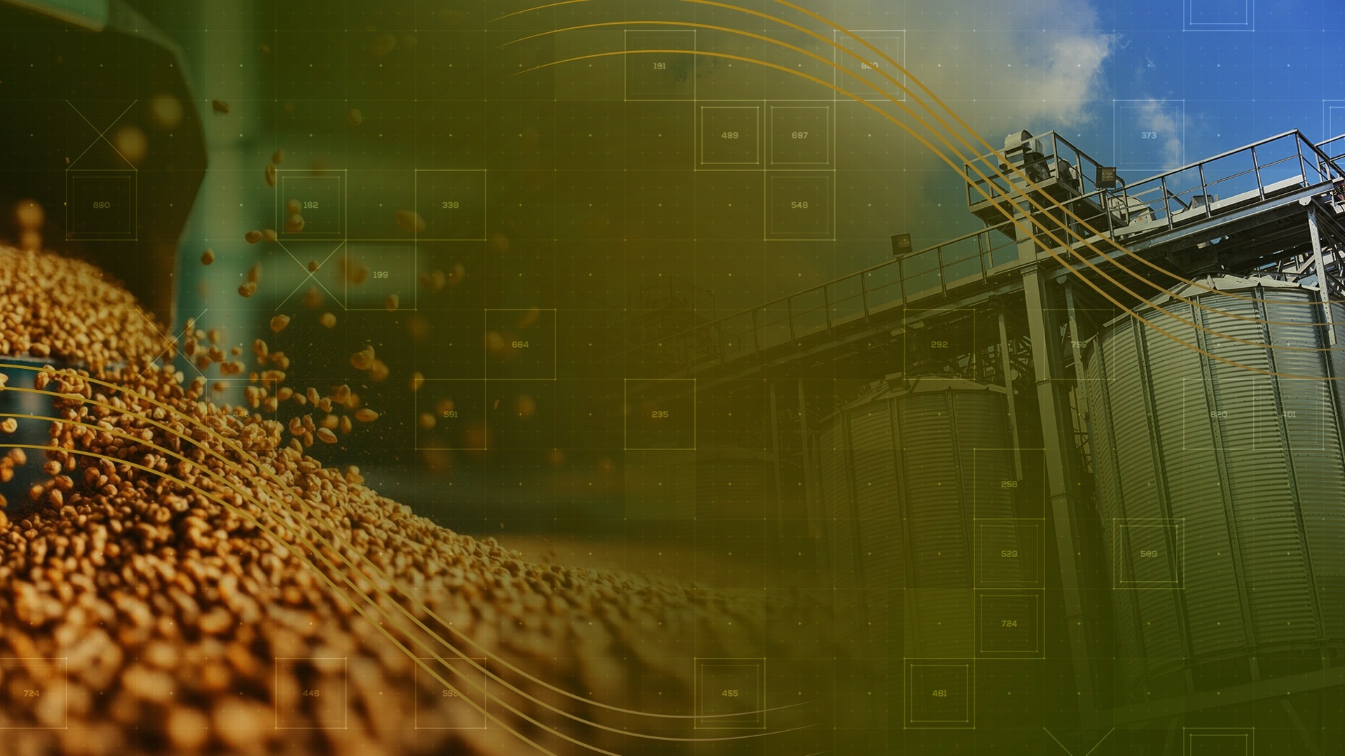CNN Agro News