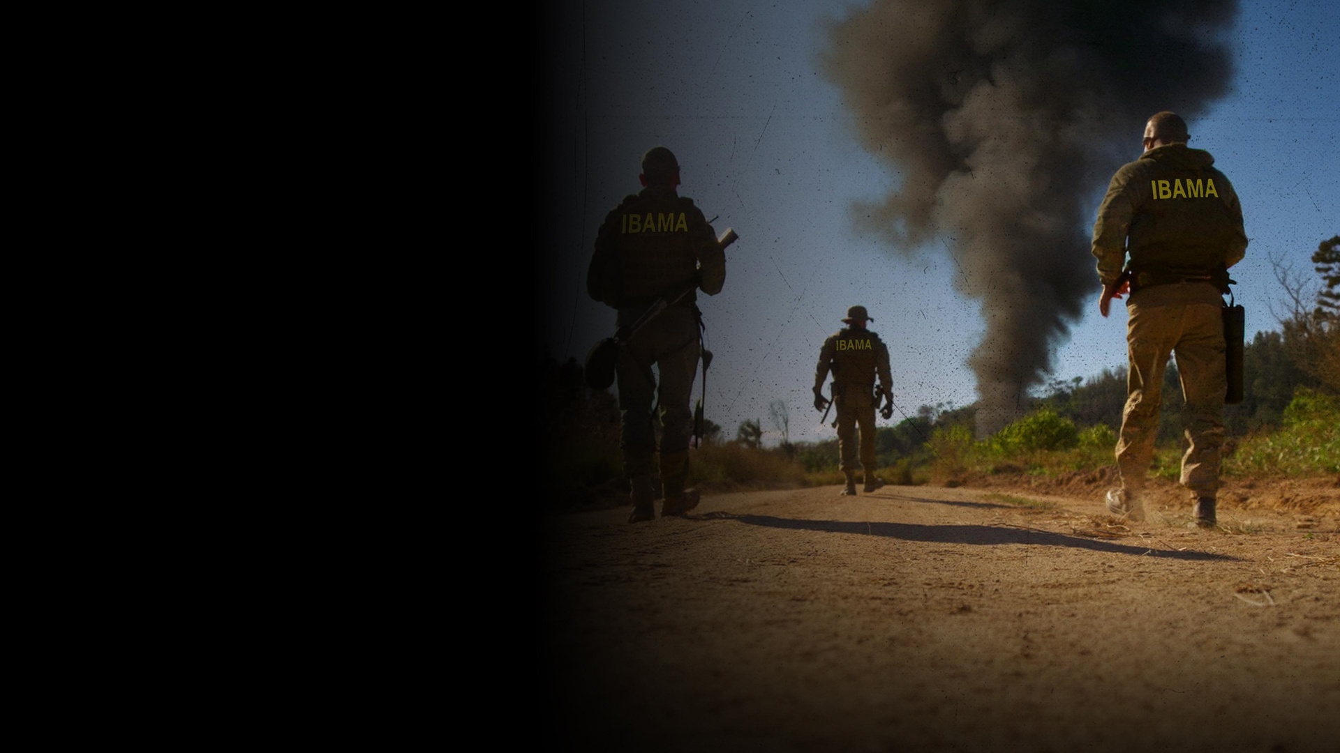 Operação Guerra Verde : Fórum Avium