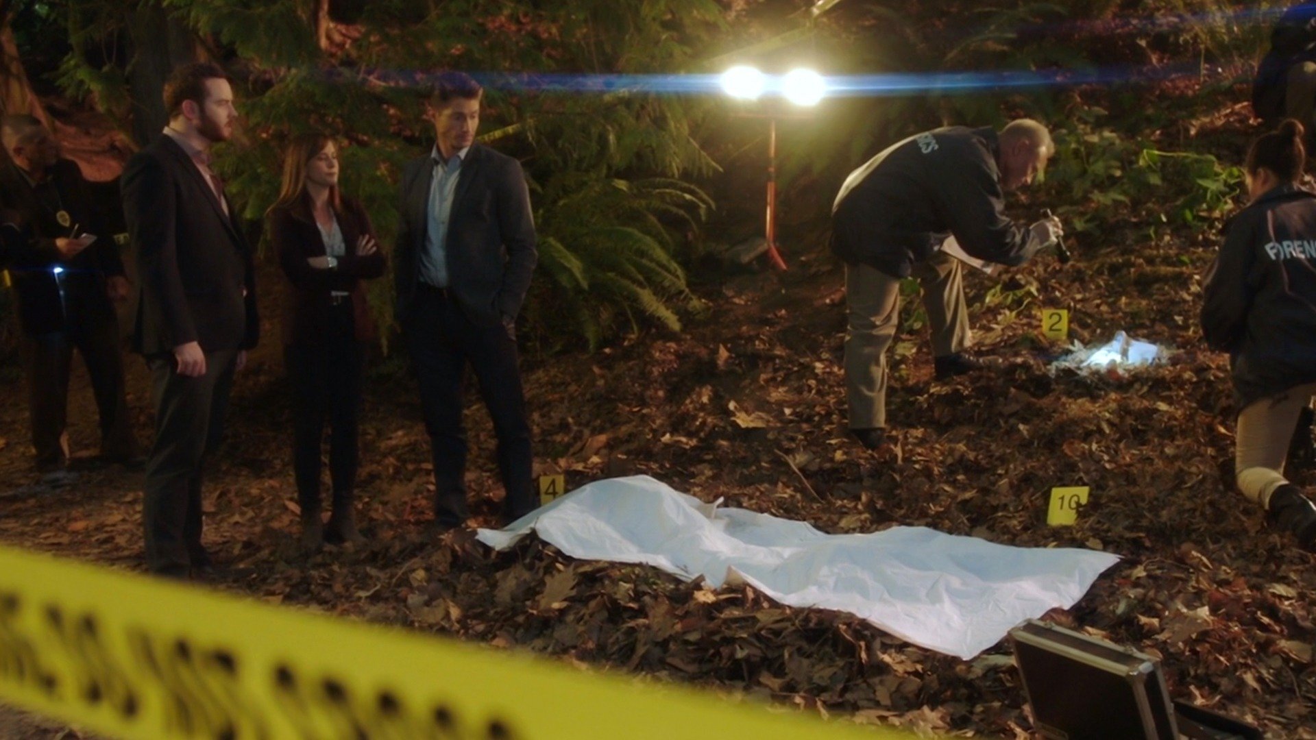 Hailey Dean Mystery: A Will to Kill