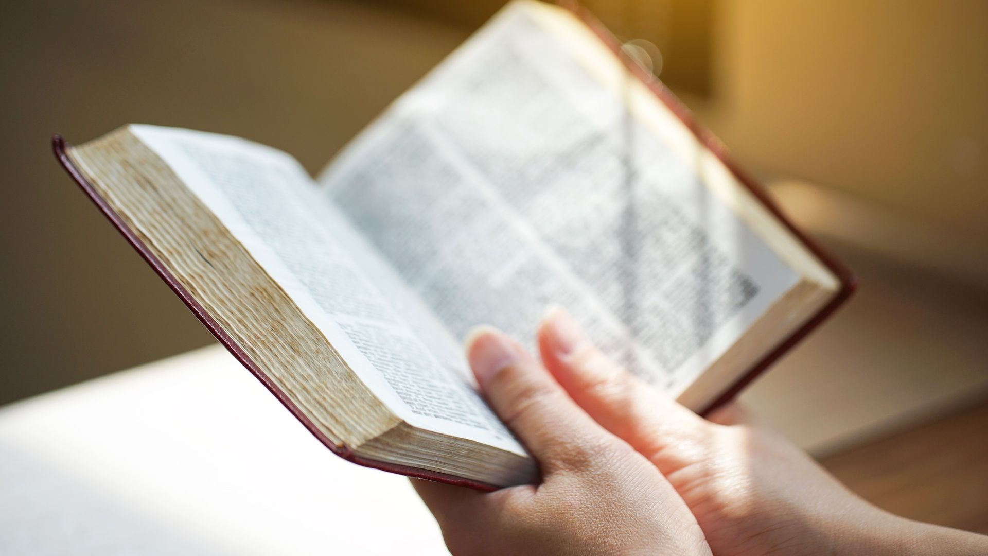 Missa Votiva aos Filhos e Filhas de São José