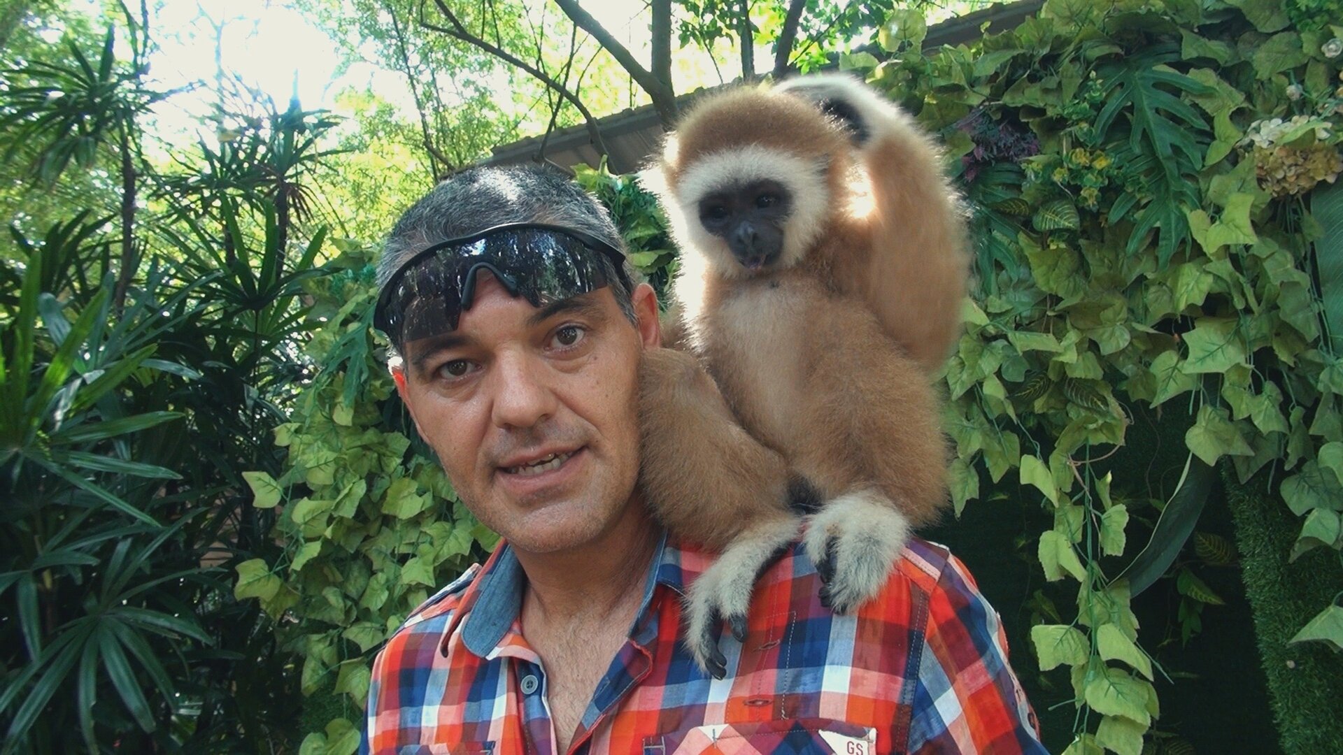 Perdido no Sudeste Asiático - Tráfico de Animais