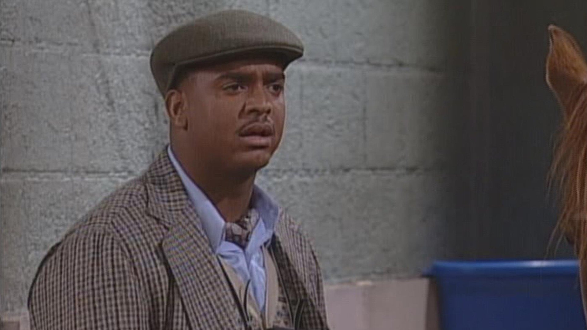 Um Maluco no Pedaço : Eu, Cavalo Fedorento