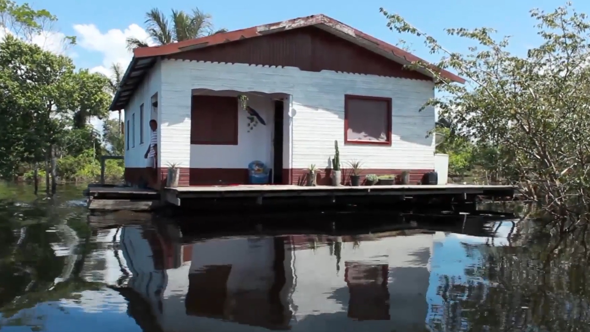 Coleções : Casas Brasileiras: Casa Amazonense