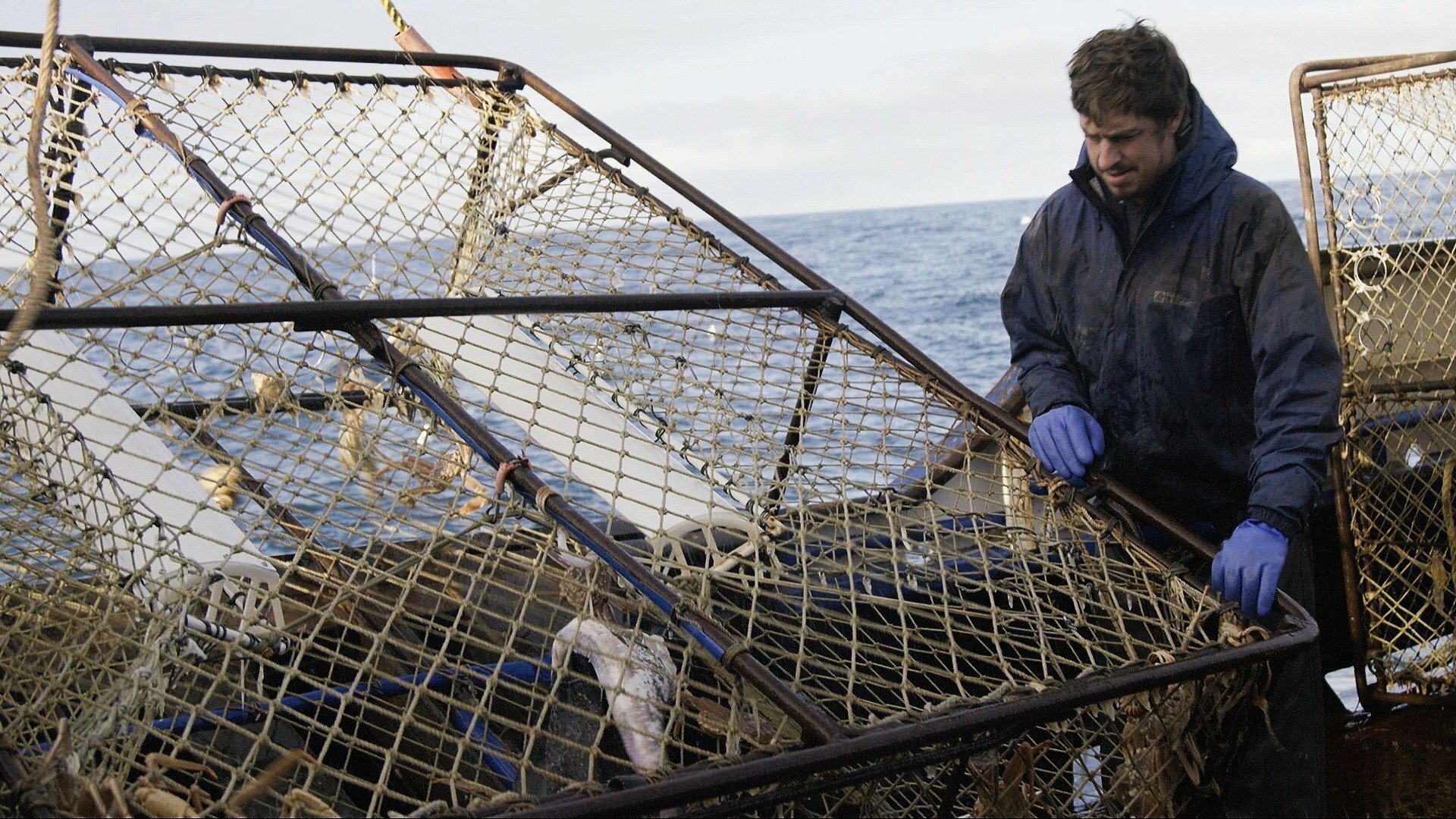 Pesca Mortal : Emaranhado