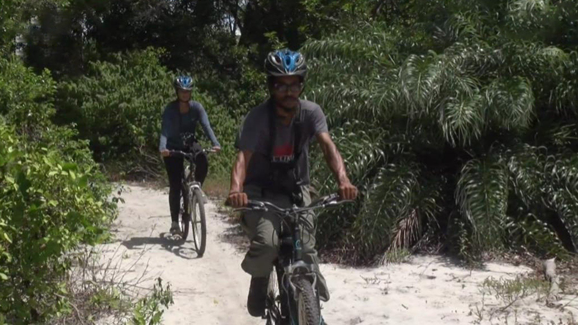 Expedições : Itaúnas