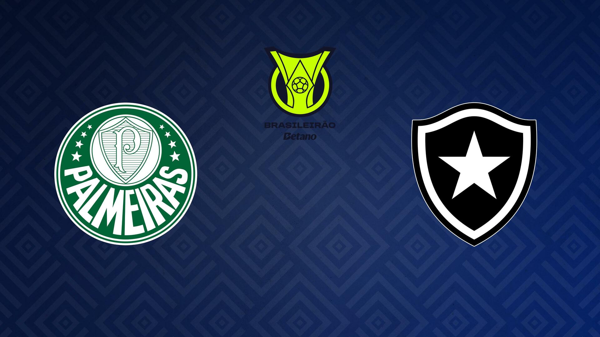 Palmeiras x Botafogo - Campeonato Brasileiro : Palmeiras x Botafogo