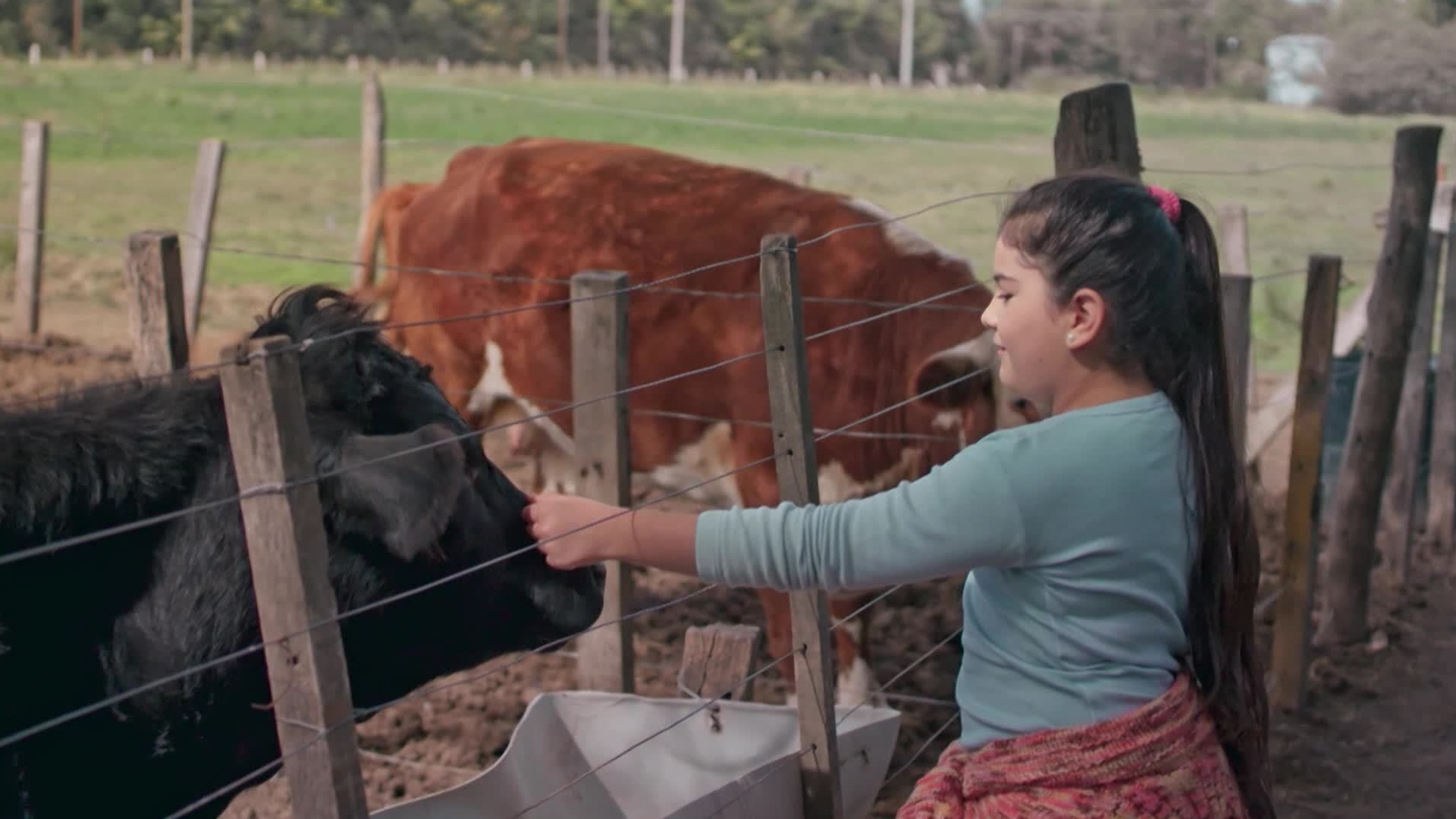 O Dia em que me Tornei Mais Forte : Meu Coelho Pipo