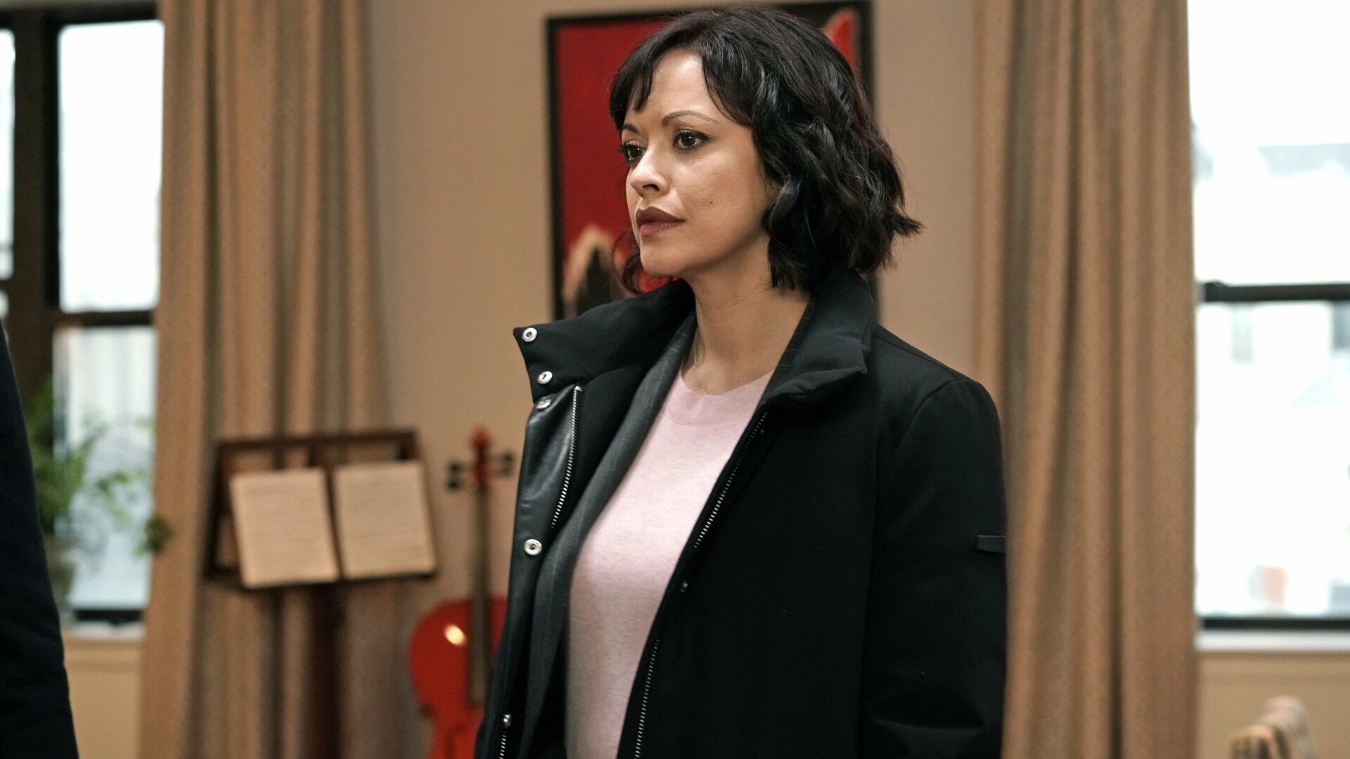 Blue Bloods : Passado Simples