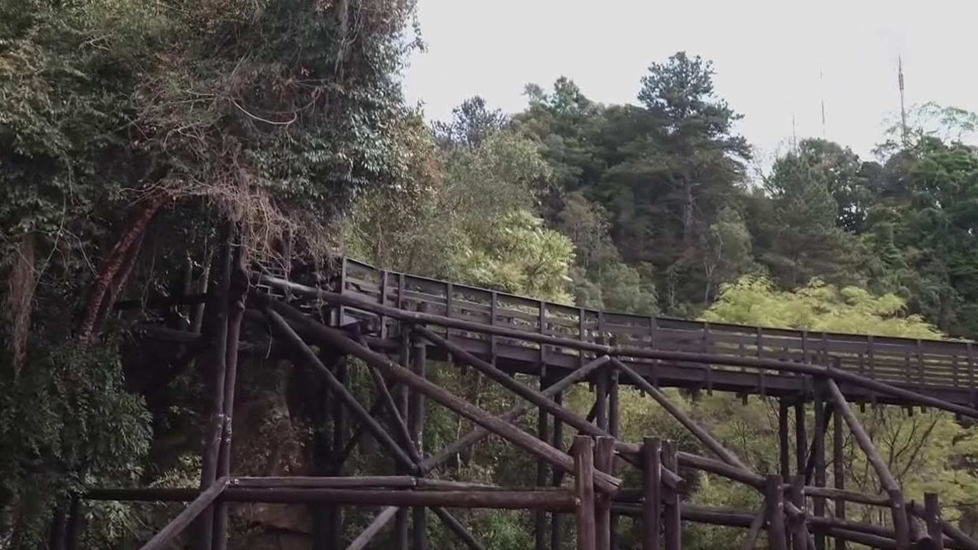 Arquitetura Fantástica : Edifícios Verdes