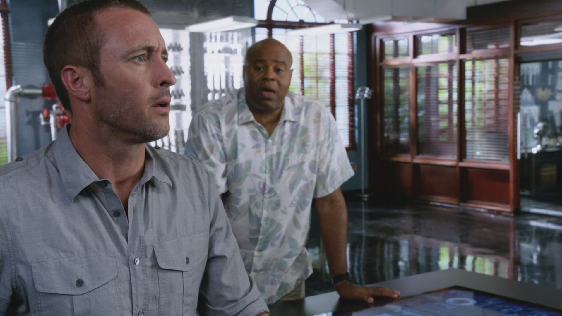 Hawaii Five-0 : The Man Who Fell From The Sky