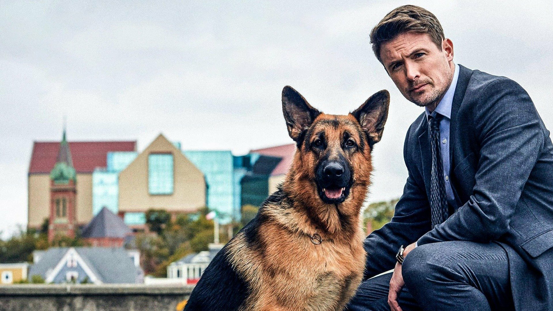 Hudson & Rex : Oops I Bit It Again