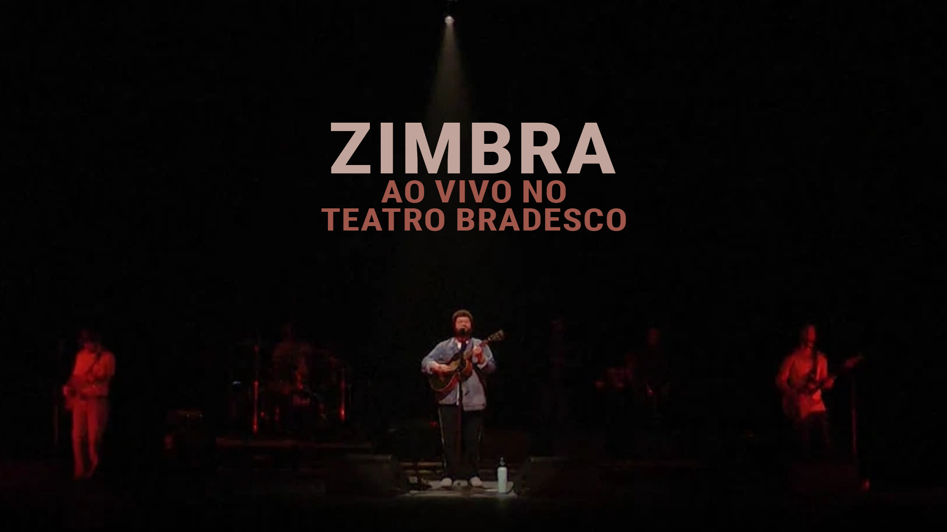 Zimbra - Ao Vivo no Teatro Bradesco