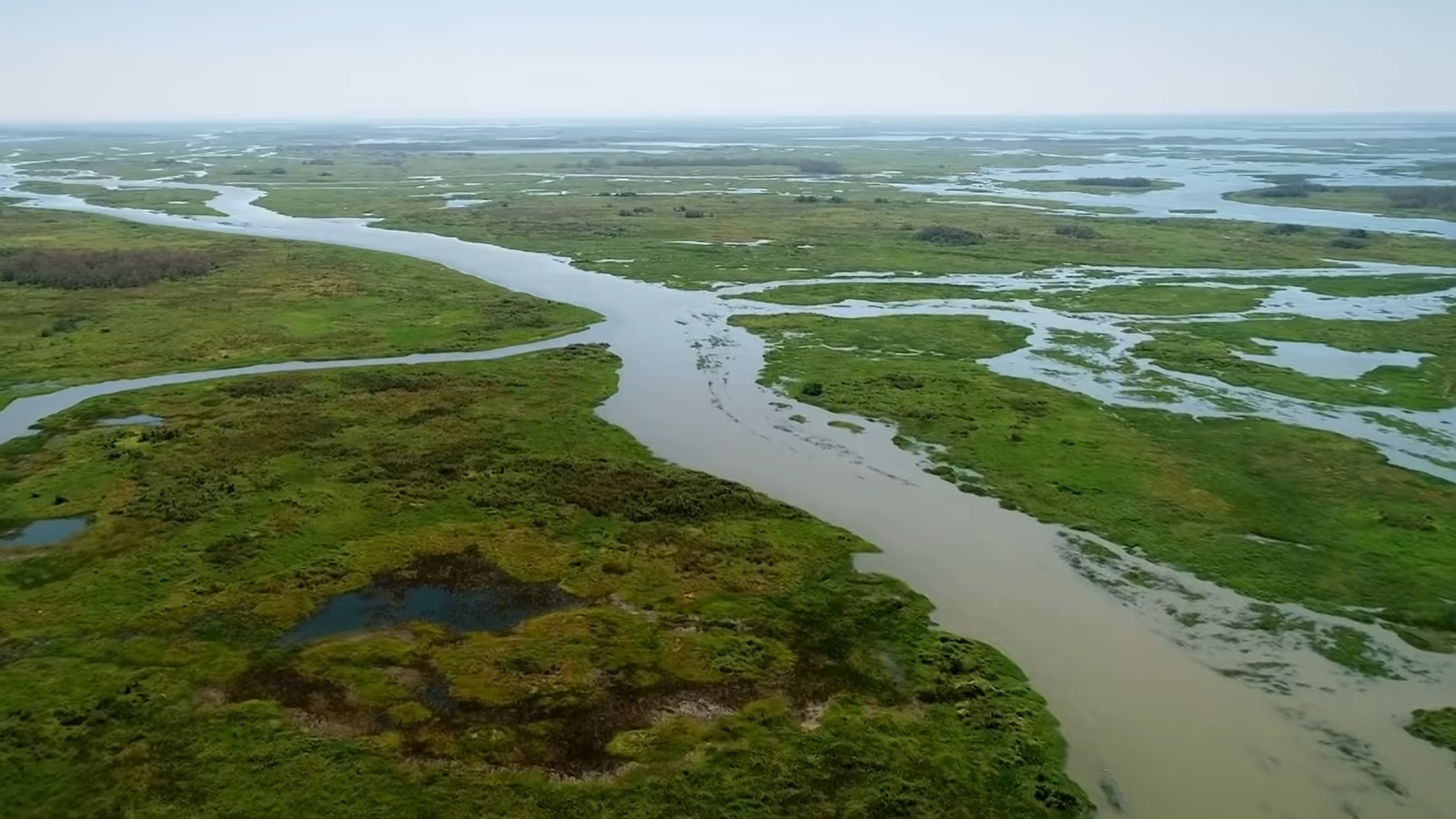 Parques do Brasil : Estação Ecológica de Taiamã