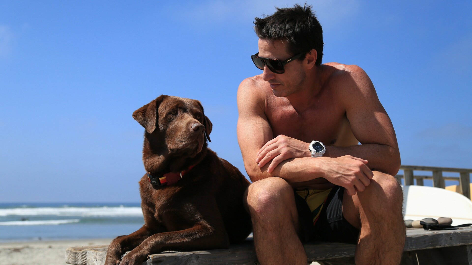 Bono, o Cão Surfista : Bono em Casa
